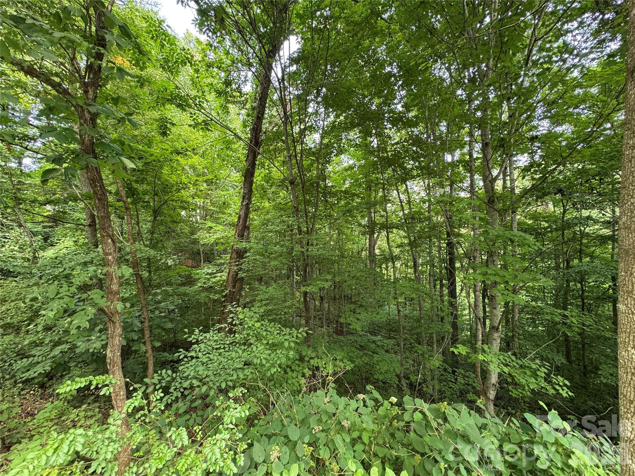 97 High Hickory Trail 2 Property Photo 14