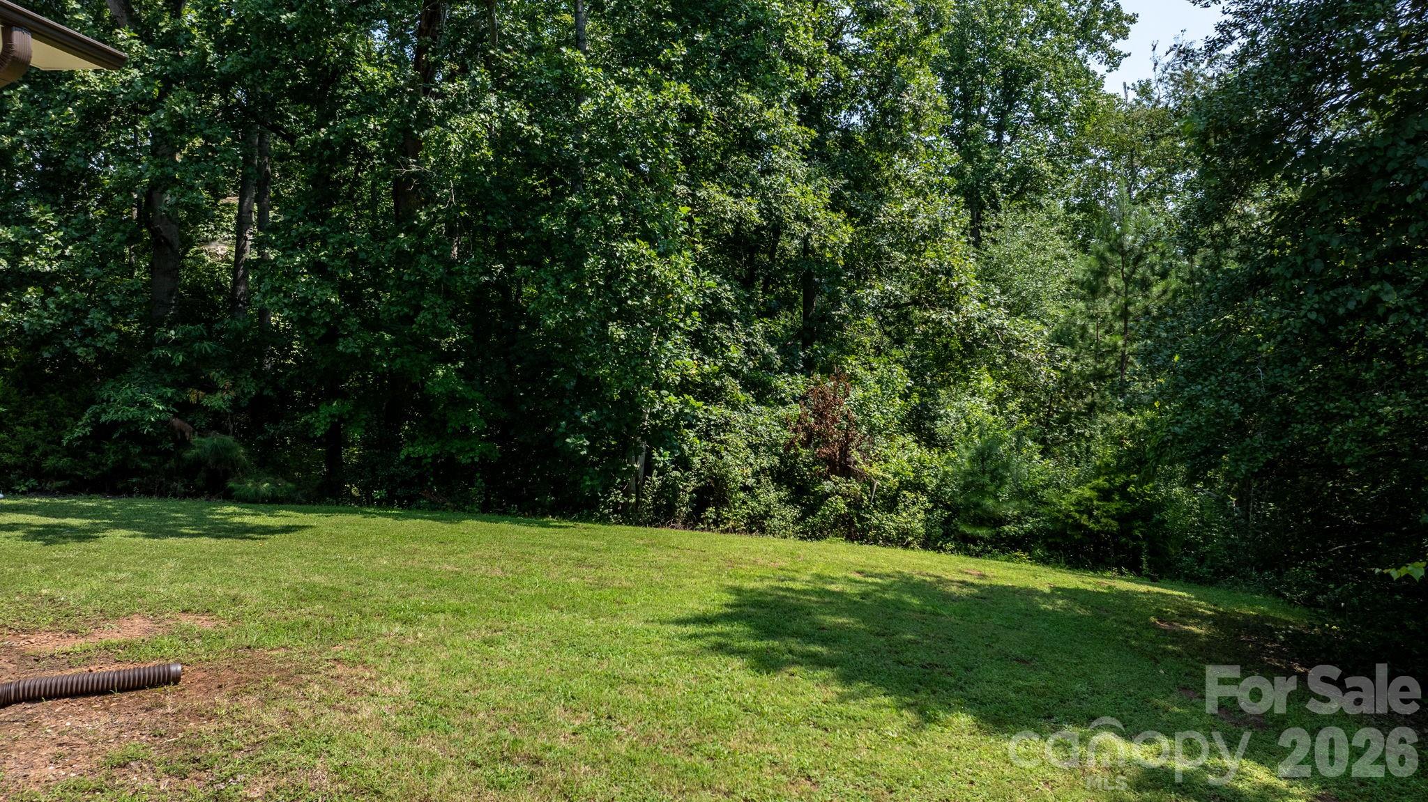 4370 Dynasty Lane Property Photo 26