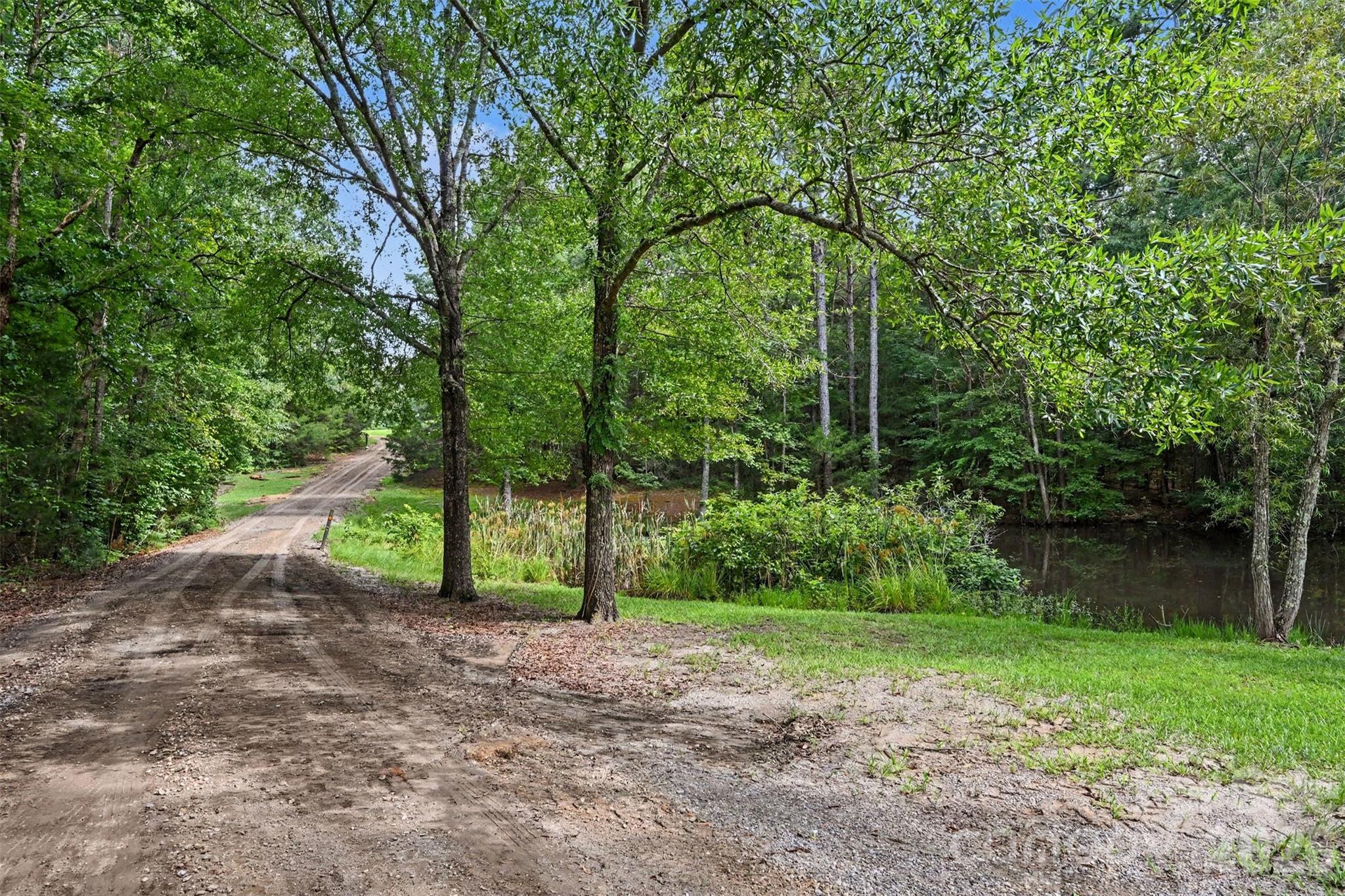 2223 Camp Creek Road Property Photo 1