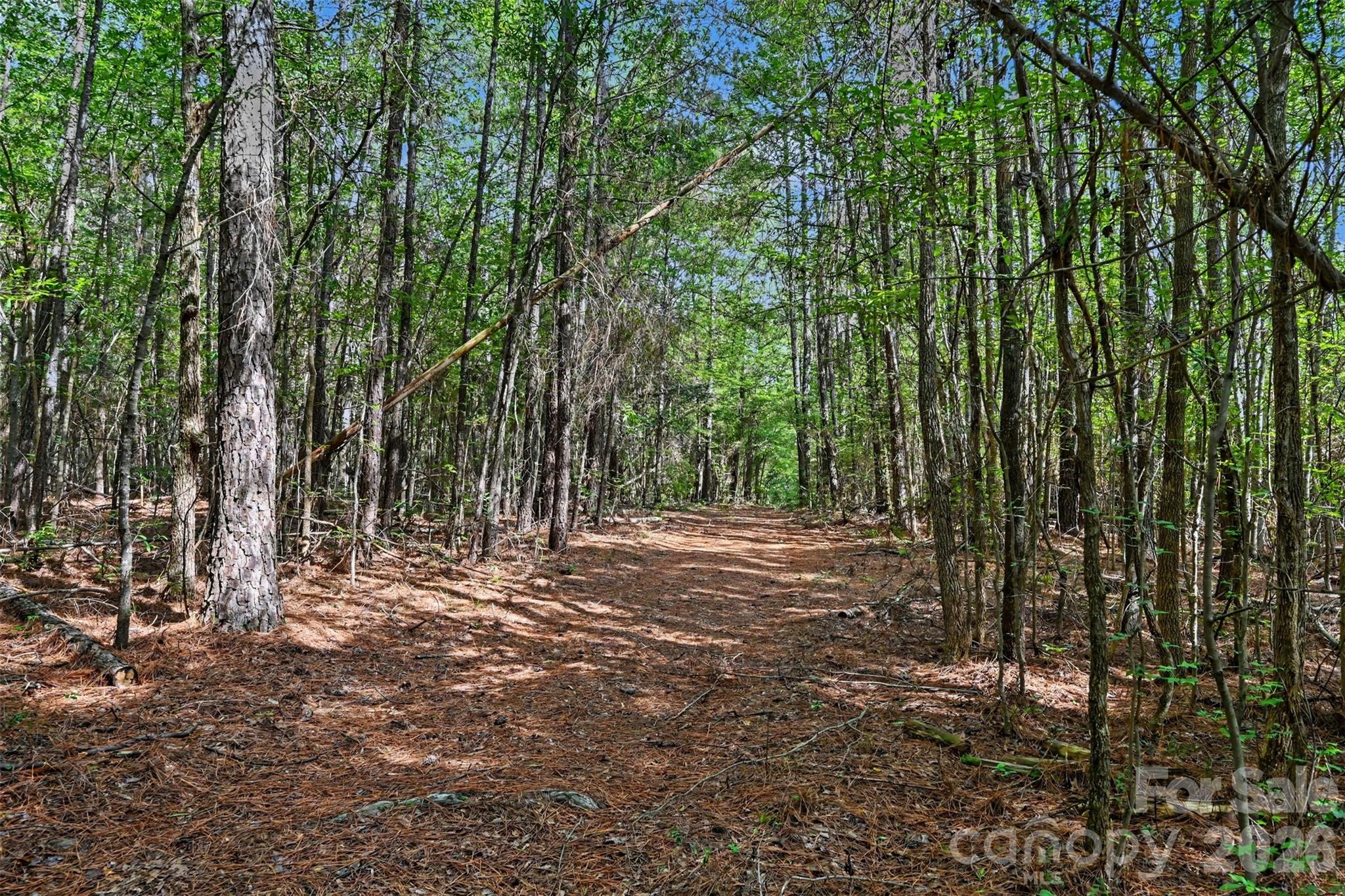 2223 Camp Creek Road Property Photo 5