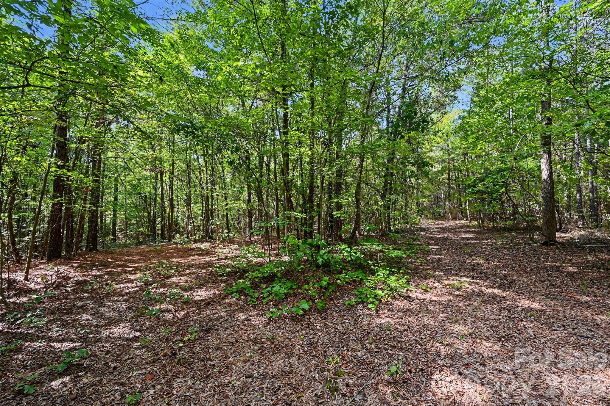 2223 Camp Creek Road Property Photo 26