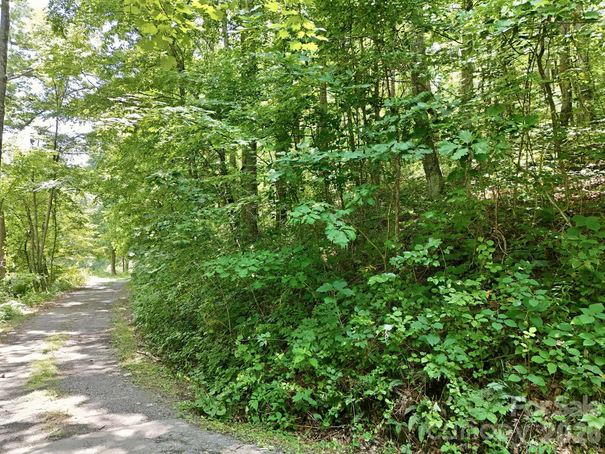 28 Mountain Breeze Trail Property Photo 4