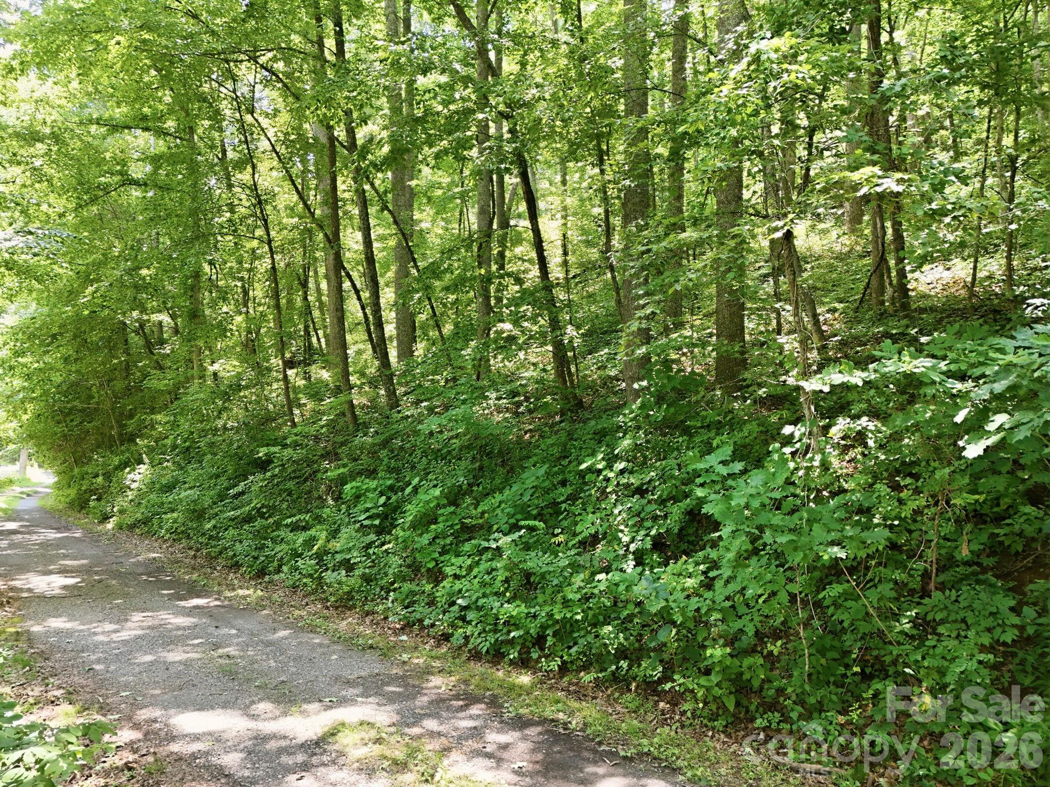 28 Mountain Breeze Trail Property Photo 5