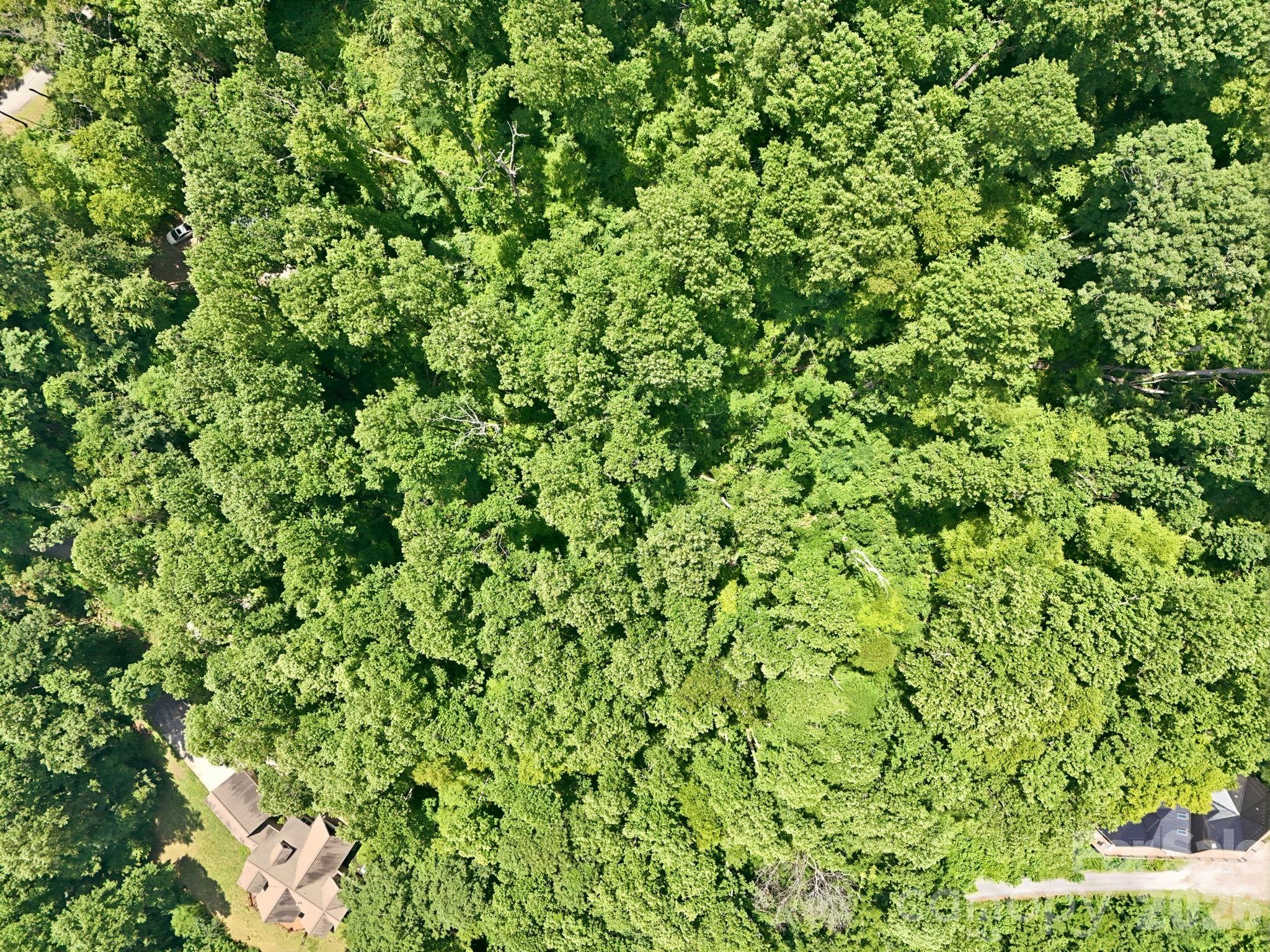 28 Mountain Breeze Trail Property Photo 13