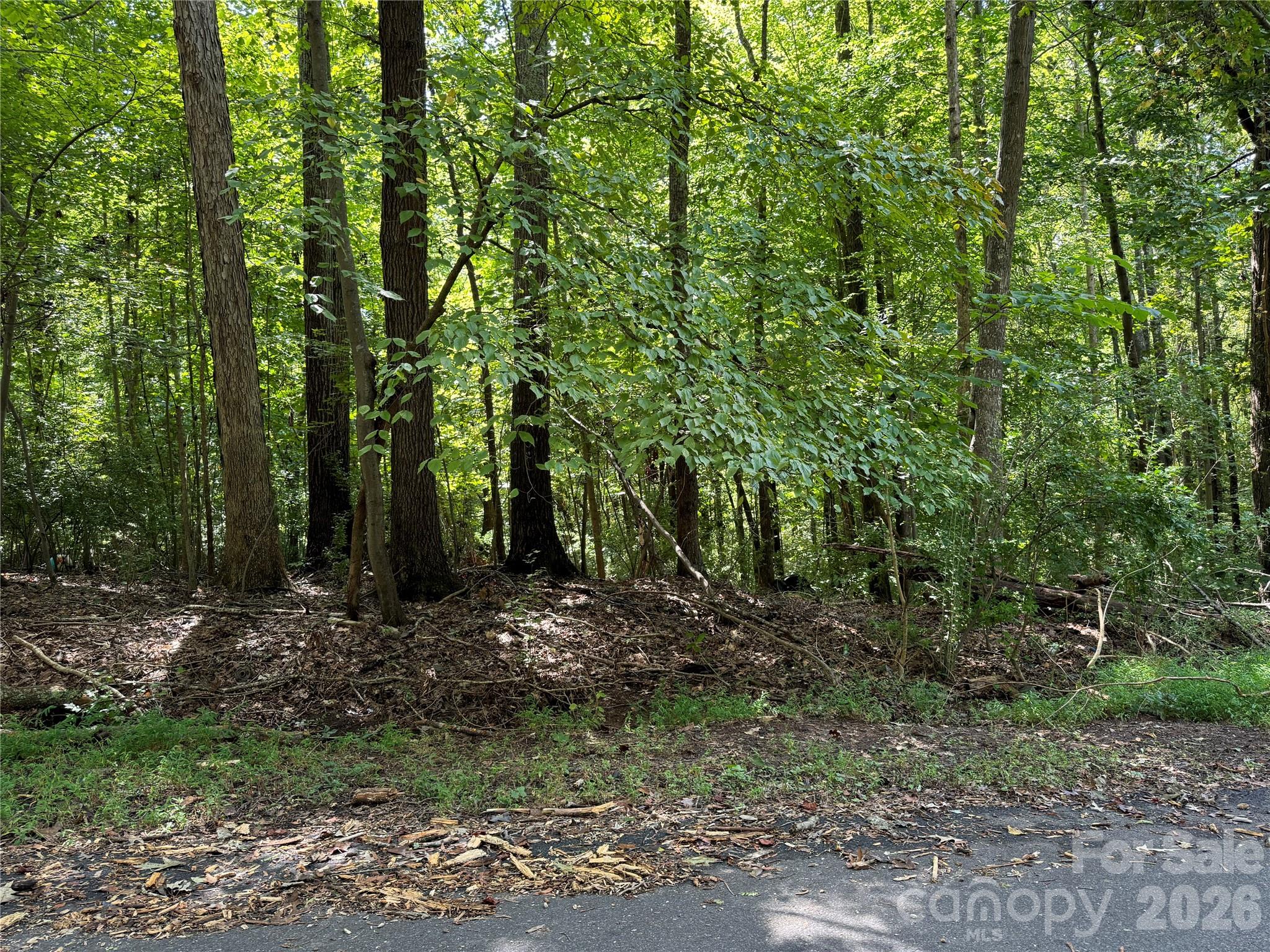 .99 Acres Hwy 321 Bypass Property Photo 3