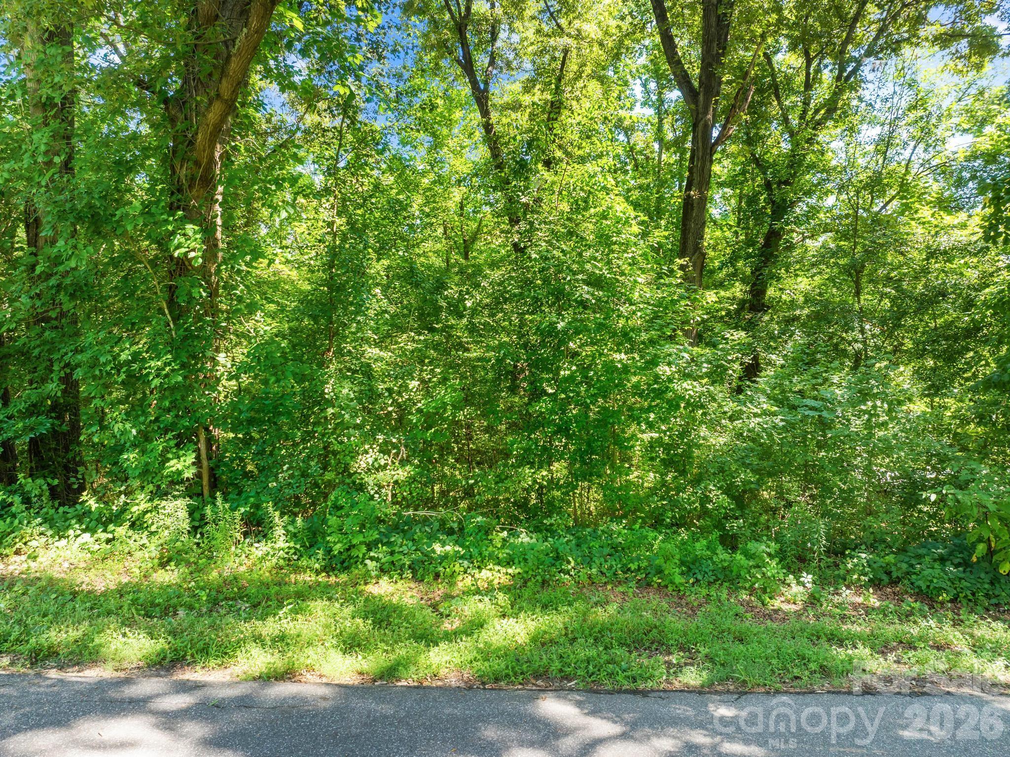 0 Northmont Drive 19 Property Photo 11