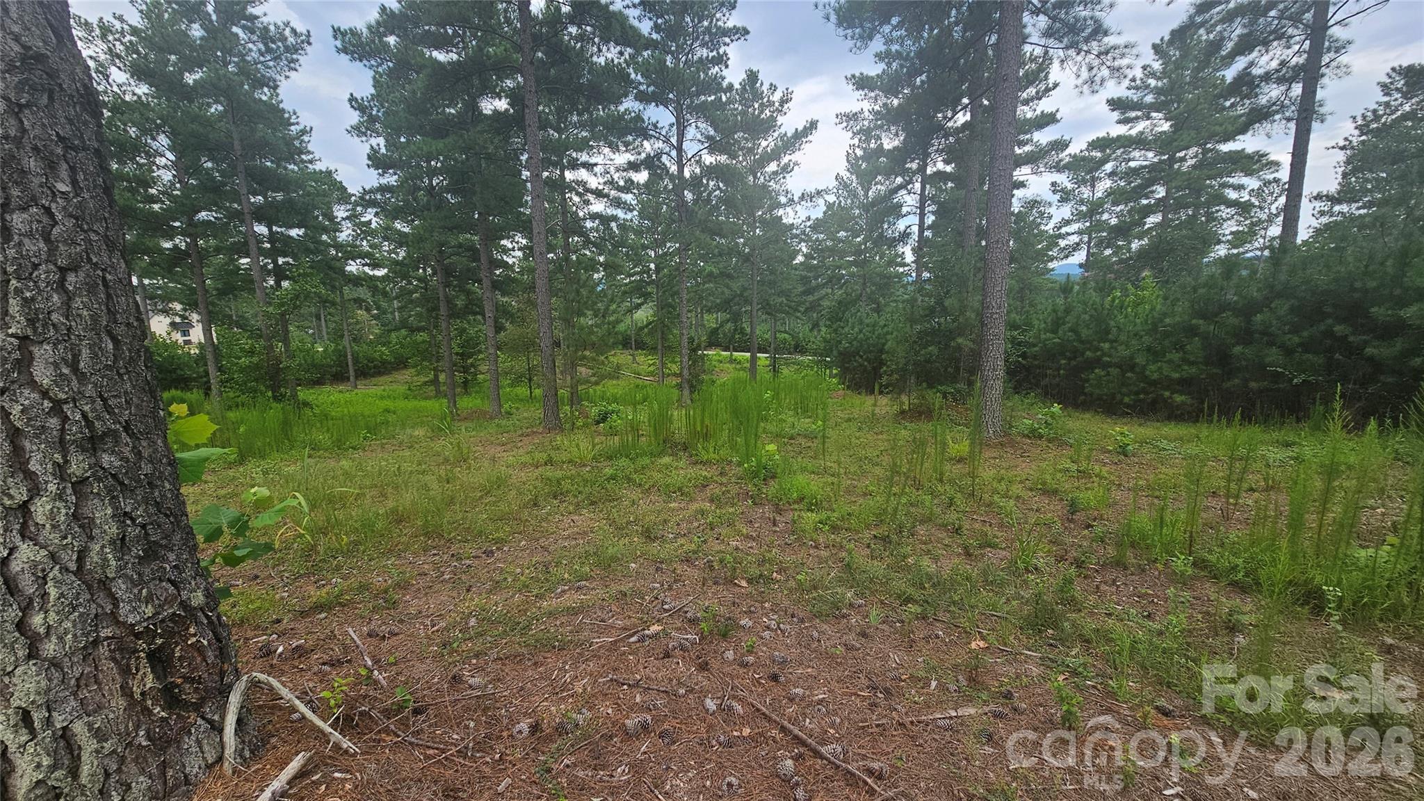 1884 Coveside Drive Property Photo 3