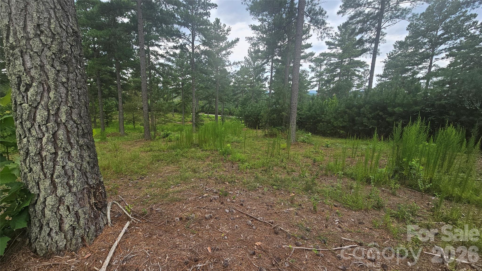 1884 Coveside Drive Property Photo 5