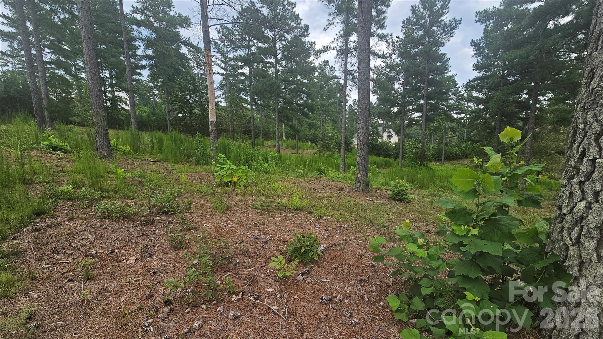1884 Coveside Drive Property Photo 6