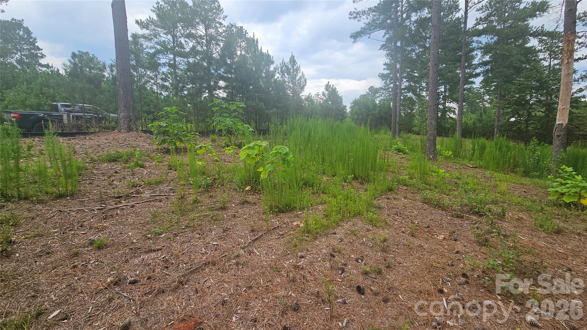 1884 Coveside Drive Property Photo 7