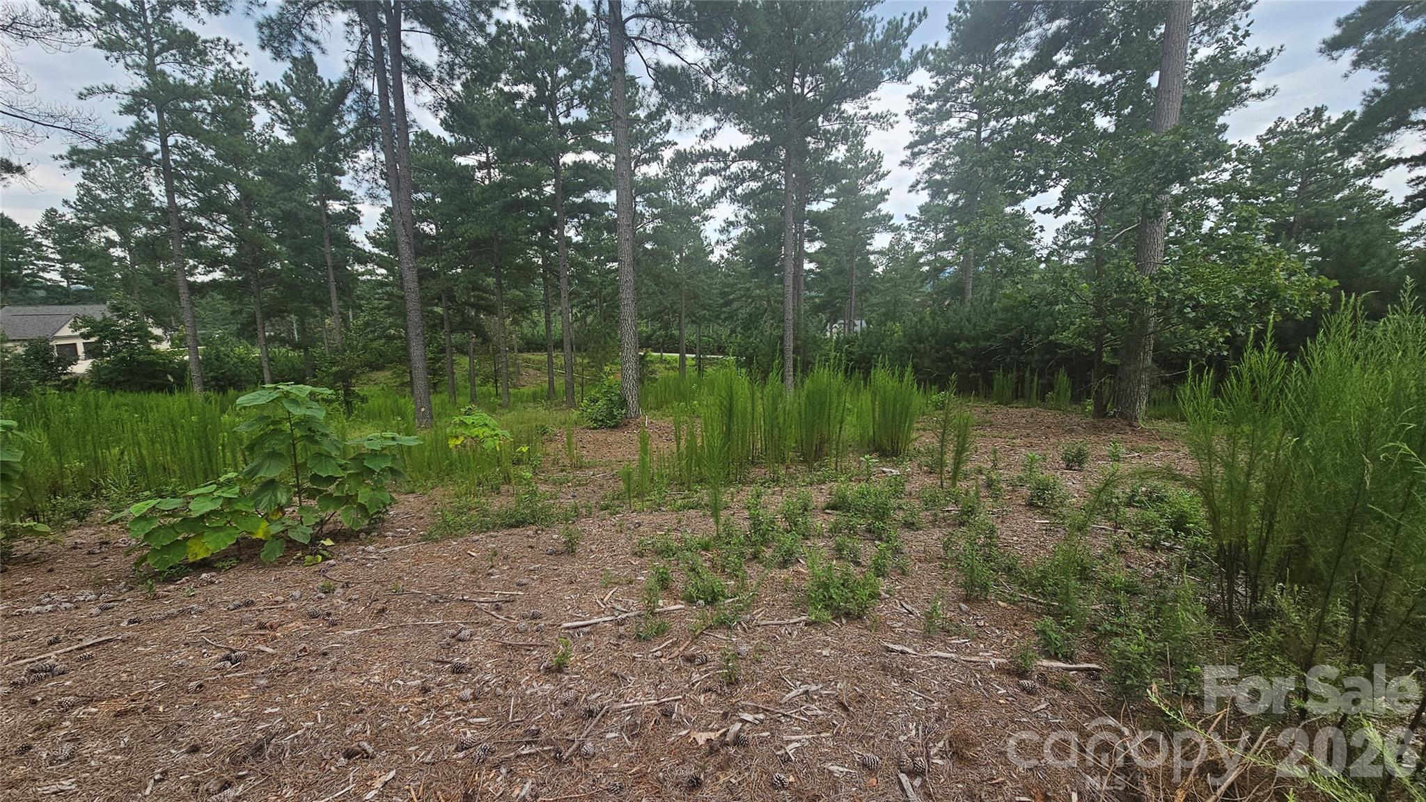 1884 Coveside Drive Property Photo 8