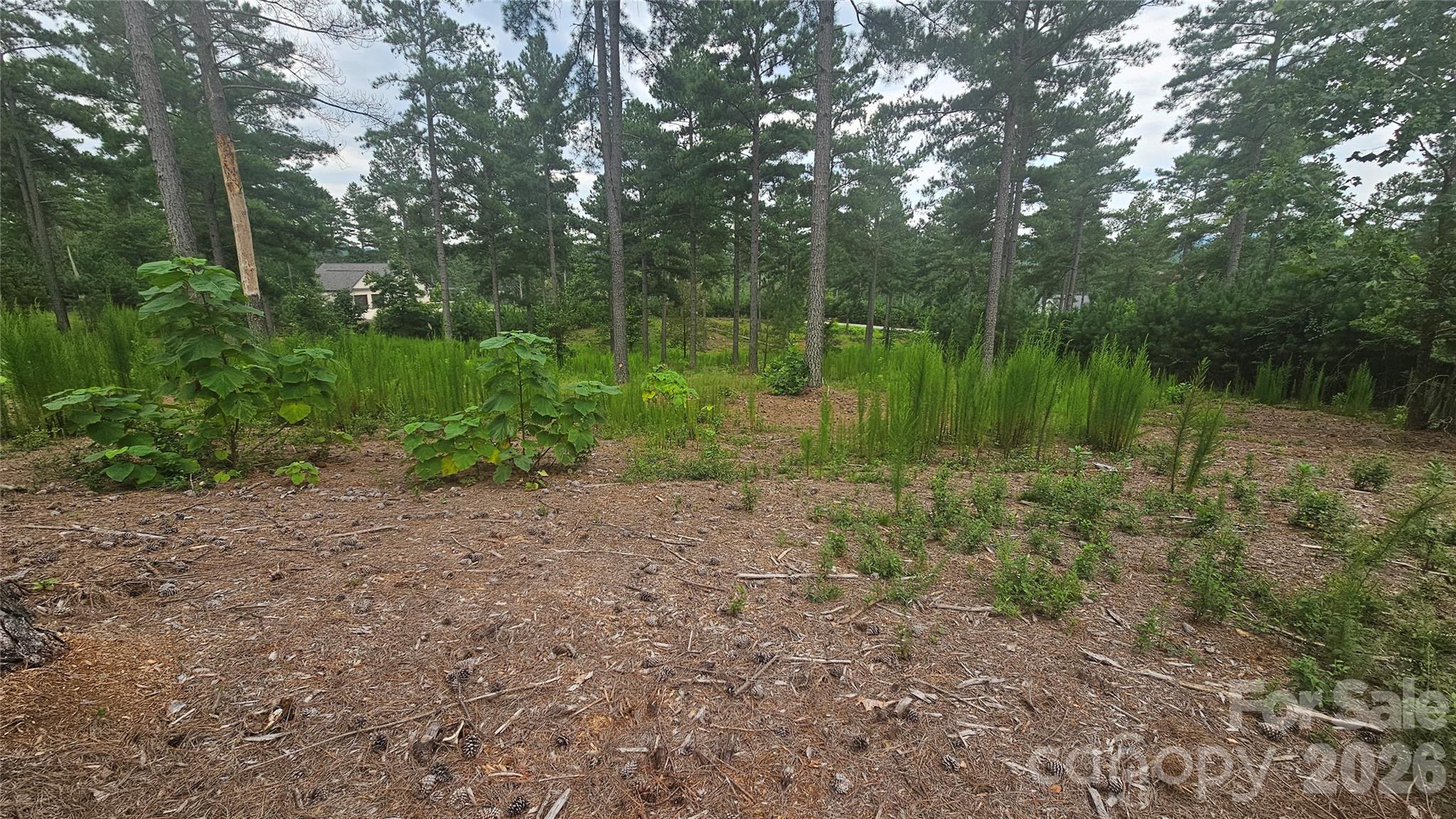 1884 Coveside Drive Property Photo 9