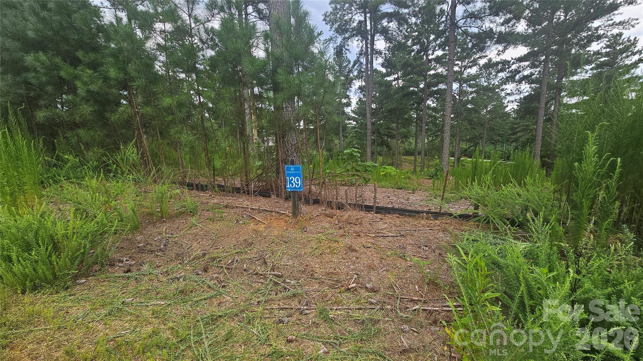 1884 Coveside Drive Property Photo 10