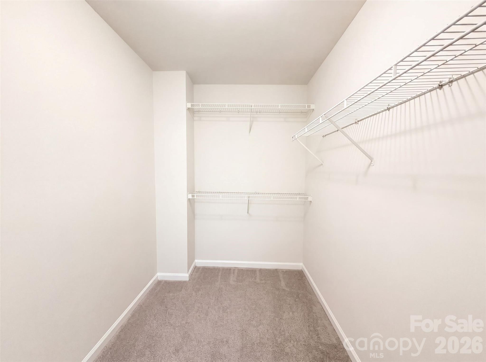 14542 Arbor Ridge Drive Property Photo 17