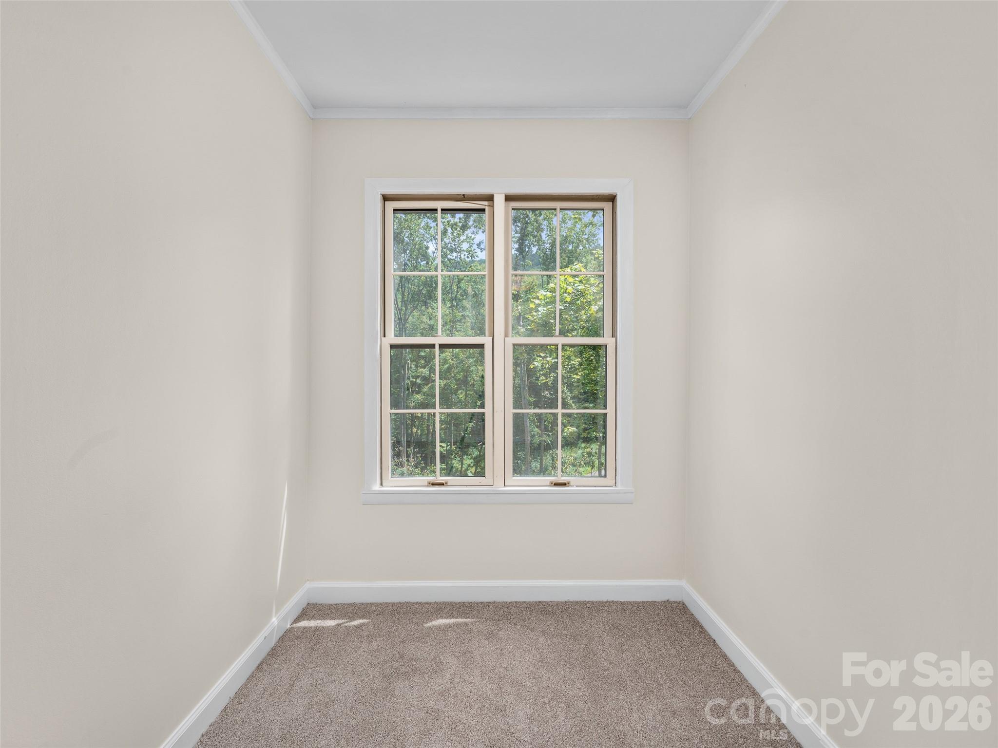 270 Dana Road Property Photo 20