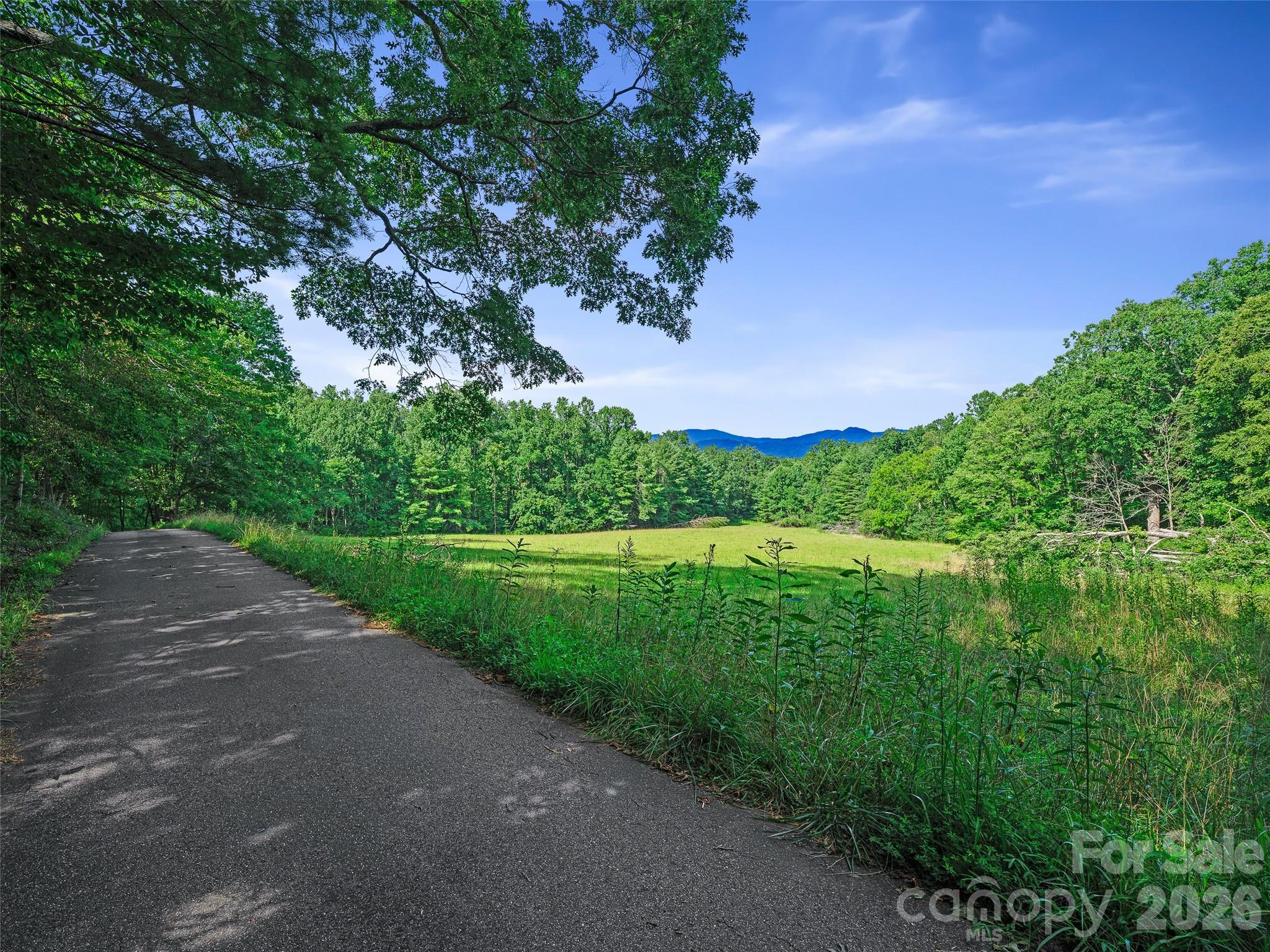 270 Dana Road Property Photo 36