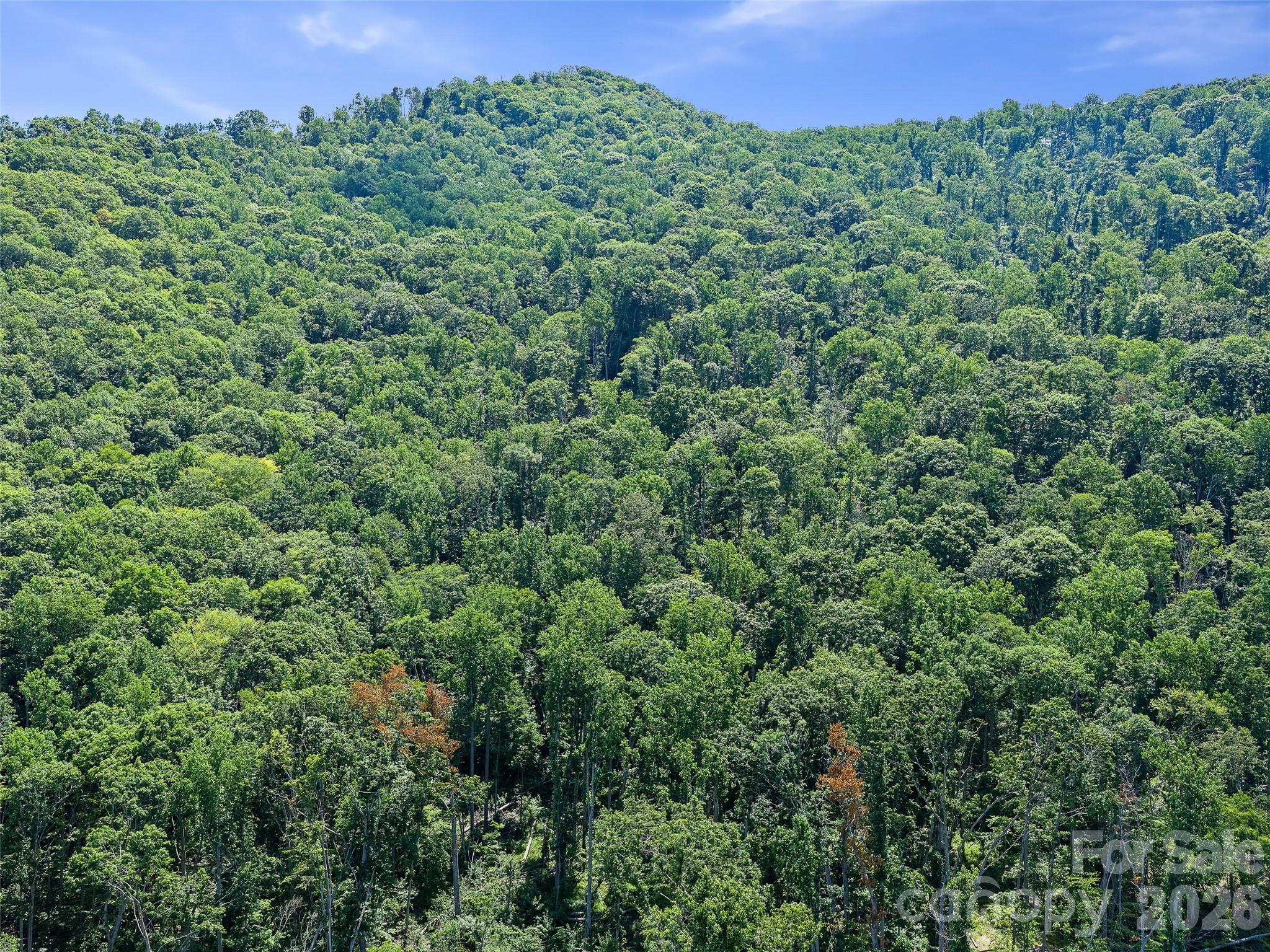 270 Dana Road Property Photo 38