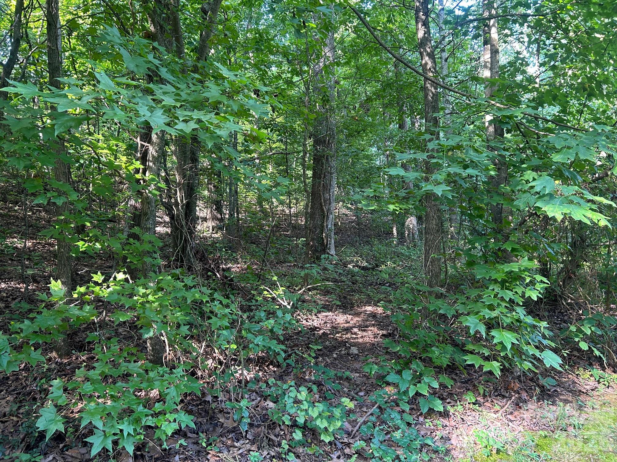 9730 Worley Drive 9 Property Photo 5