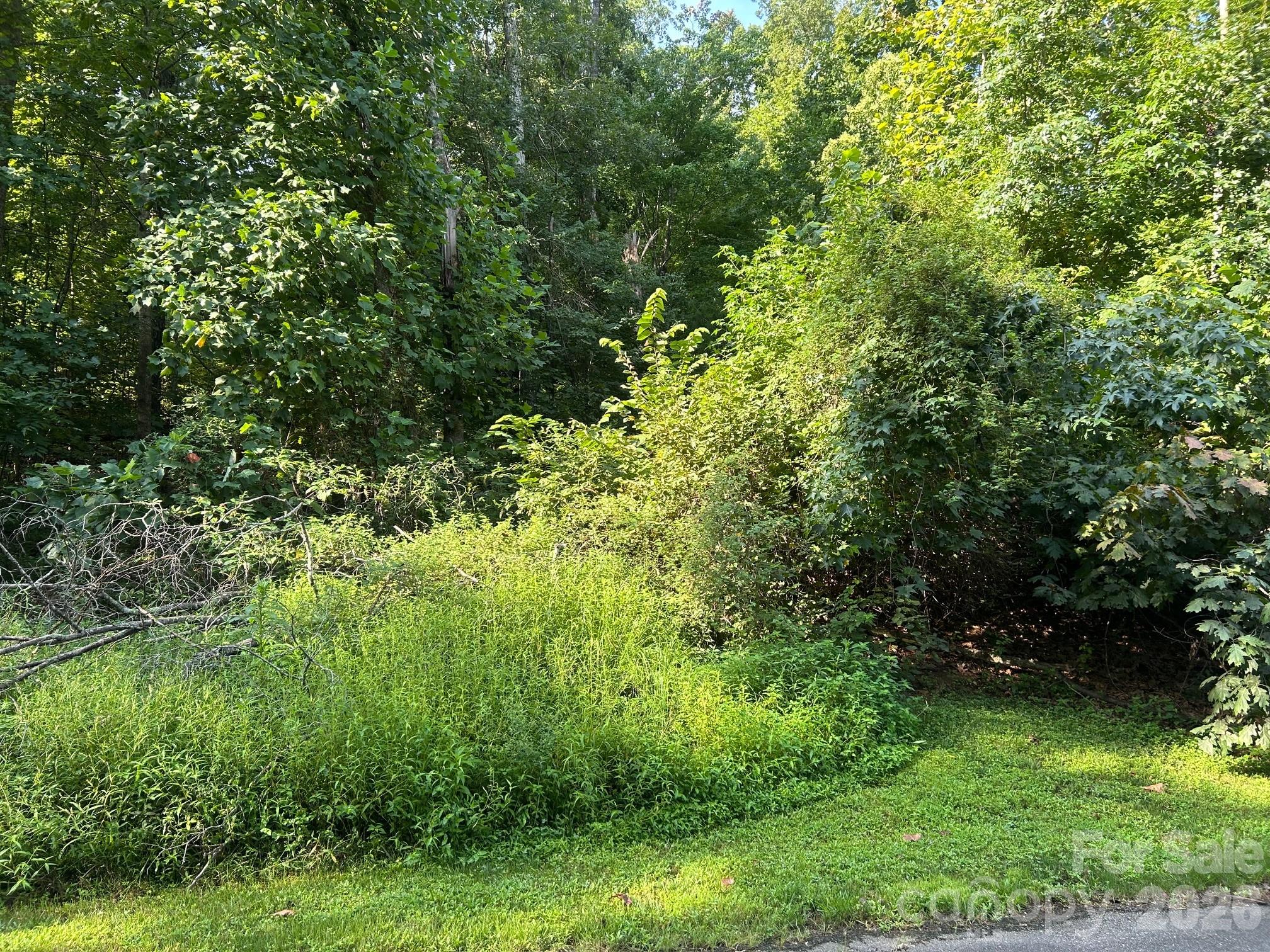 9730 Worley Drive 9 Property Photo 6