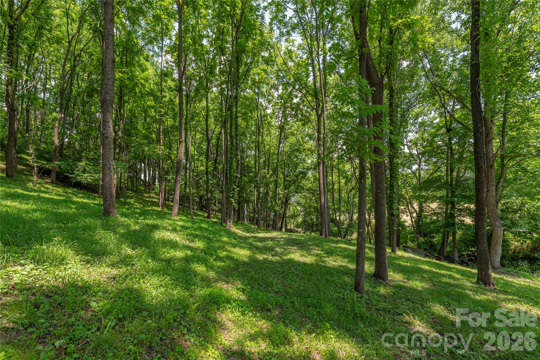 702 Love Joy Road Property Photo 16