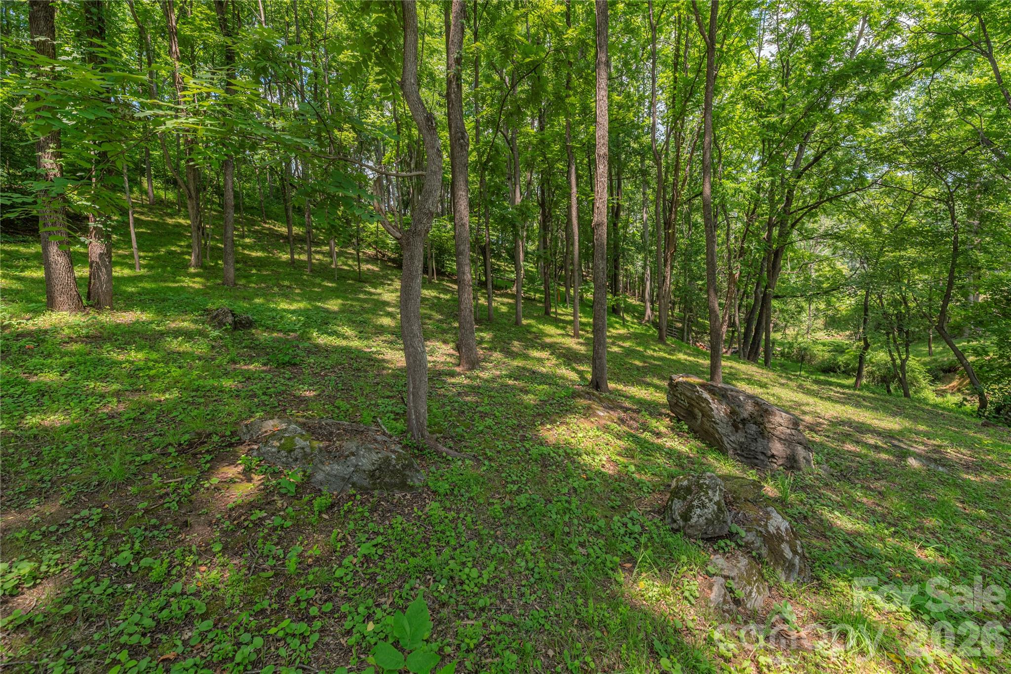 702 Love Joy Road Property Photo 17