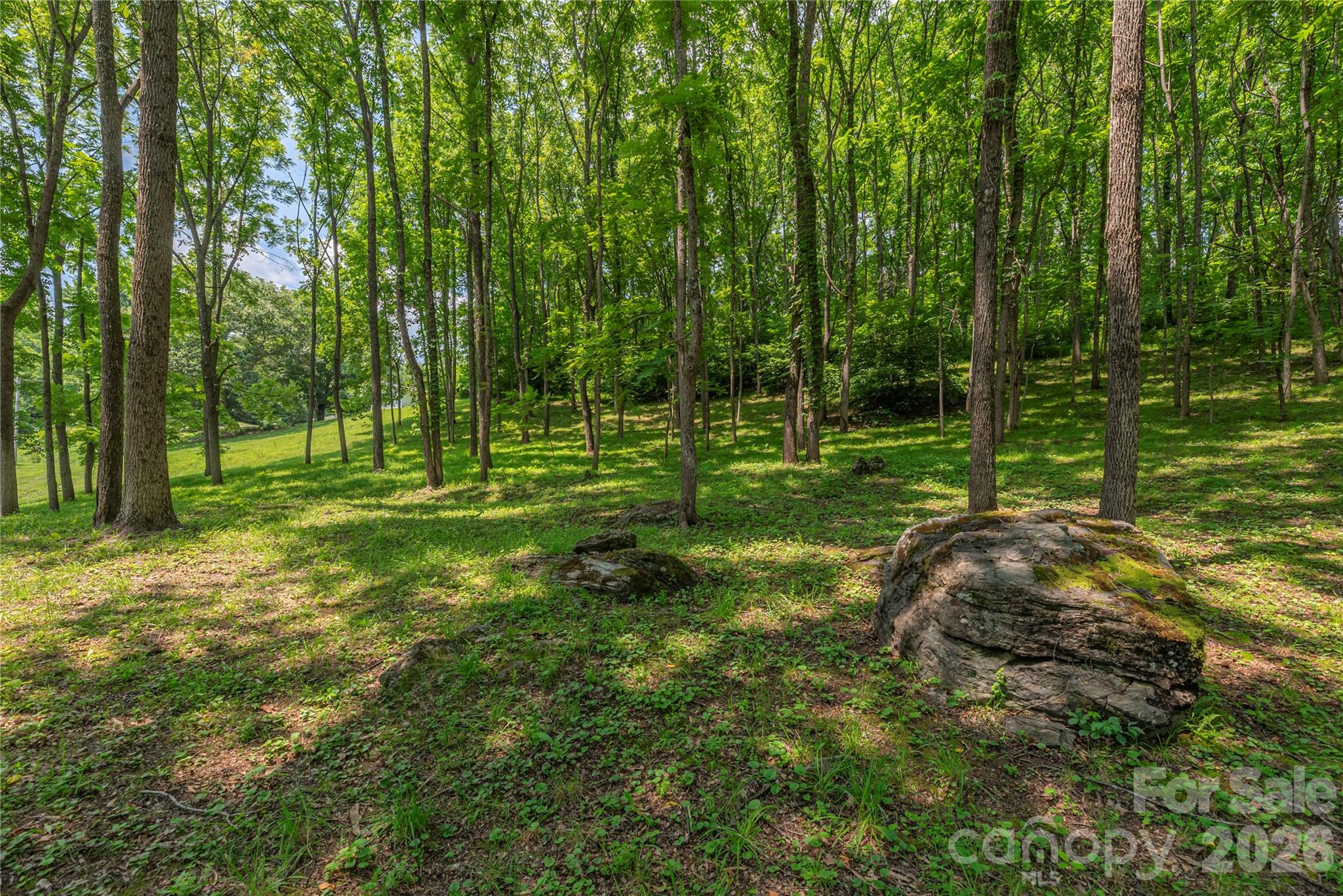 702 Love Joy Road Property Photo 19