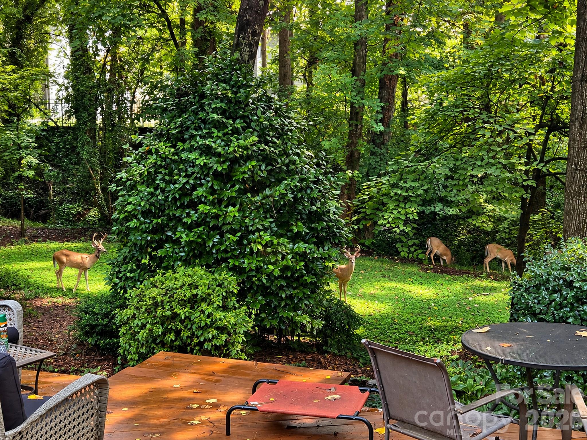 6123 Page Court Property Photo 30