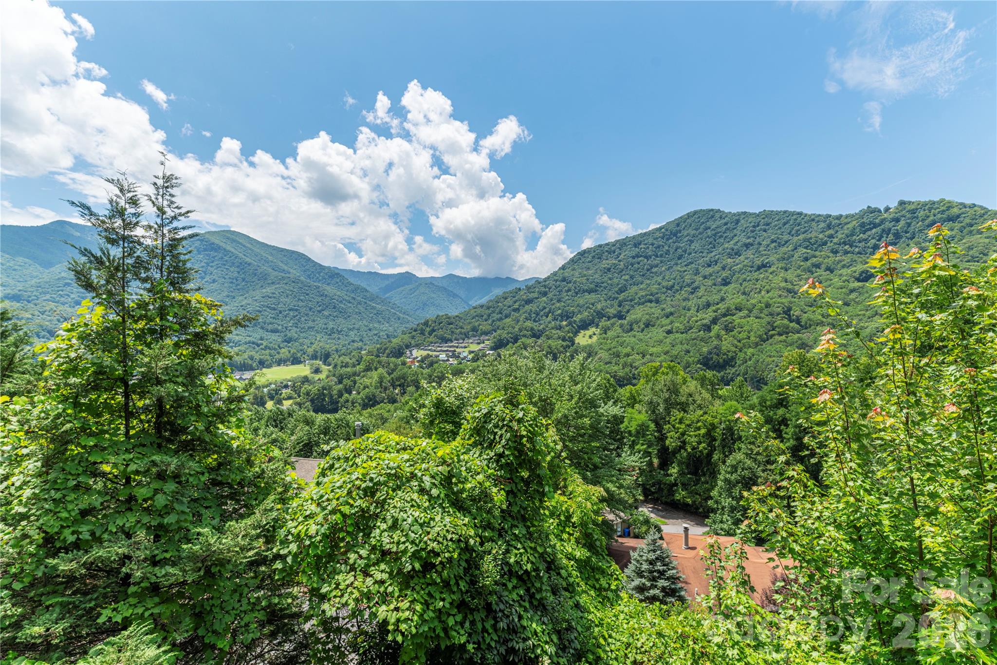 73 Mountain Breeze Drive Property Photo 2