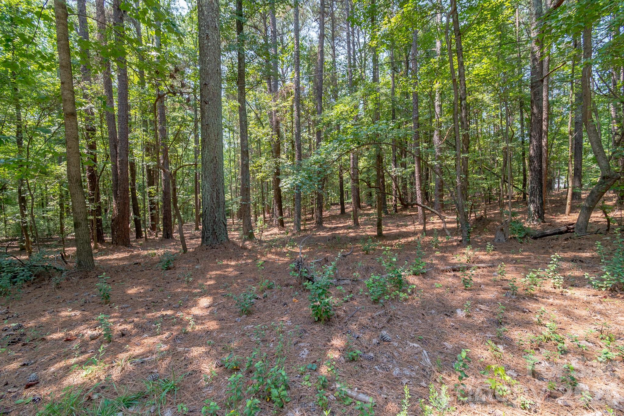 5316 Rehobeth Road Property Photo 3