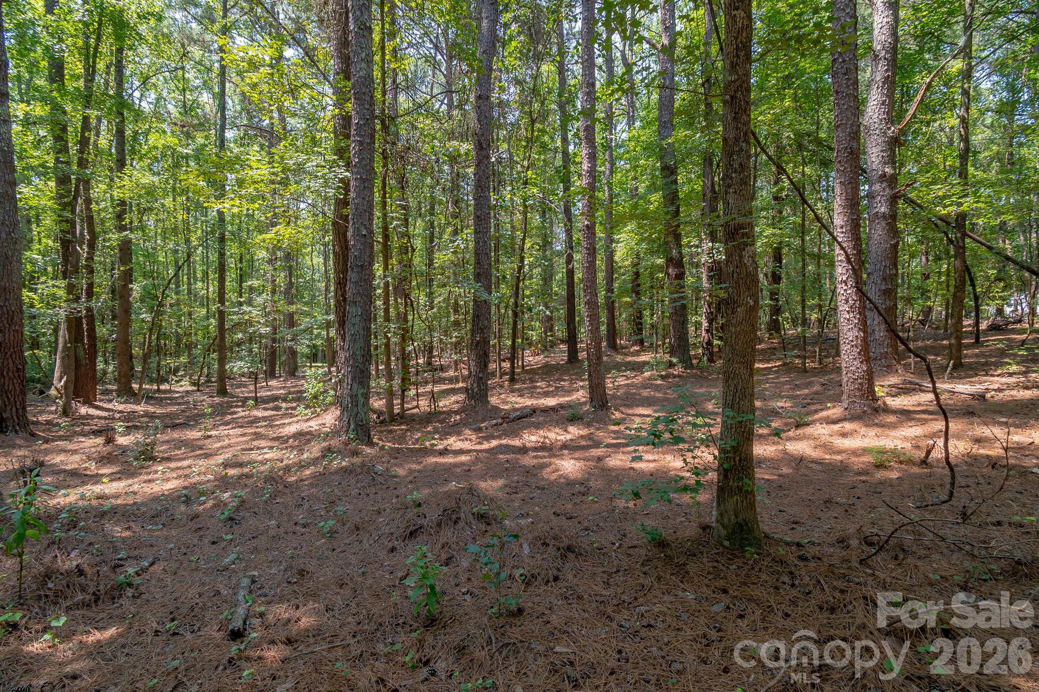 5316 Rehobeth Road Property Photo 4