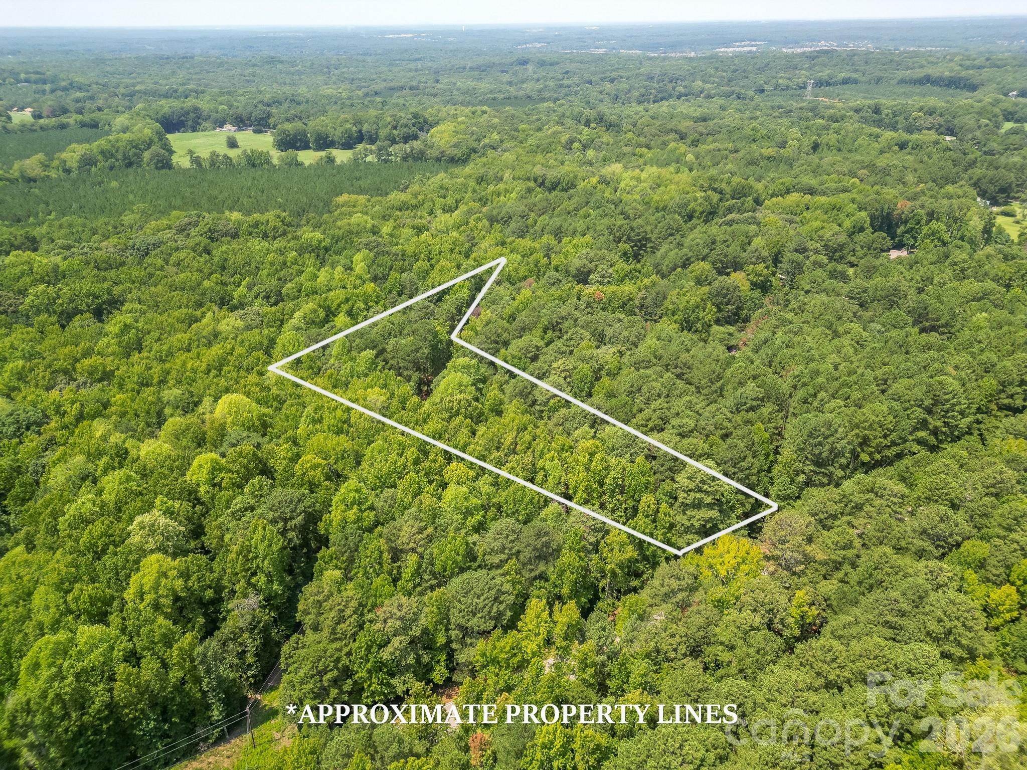 5316 Rehobeth Road Property Photo 6