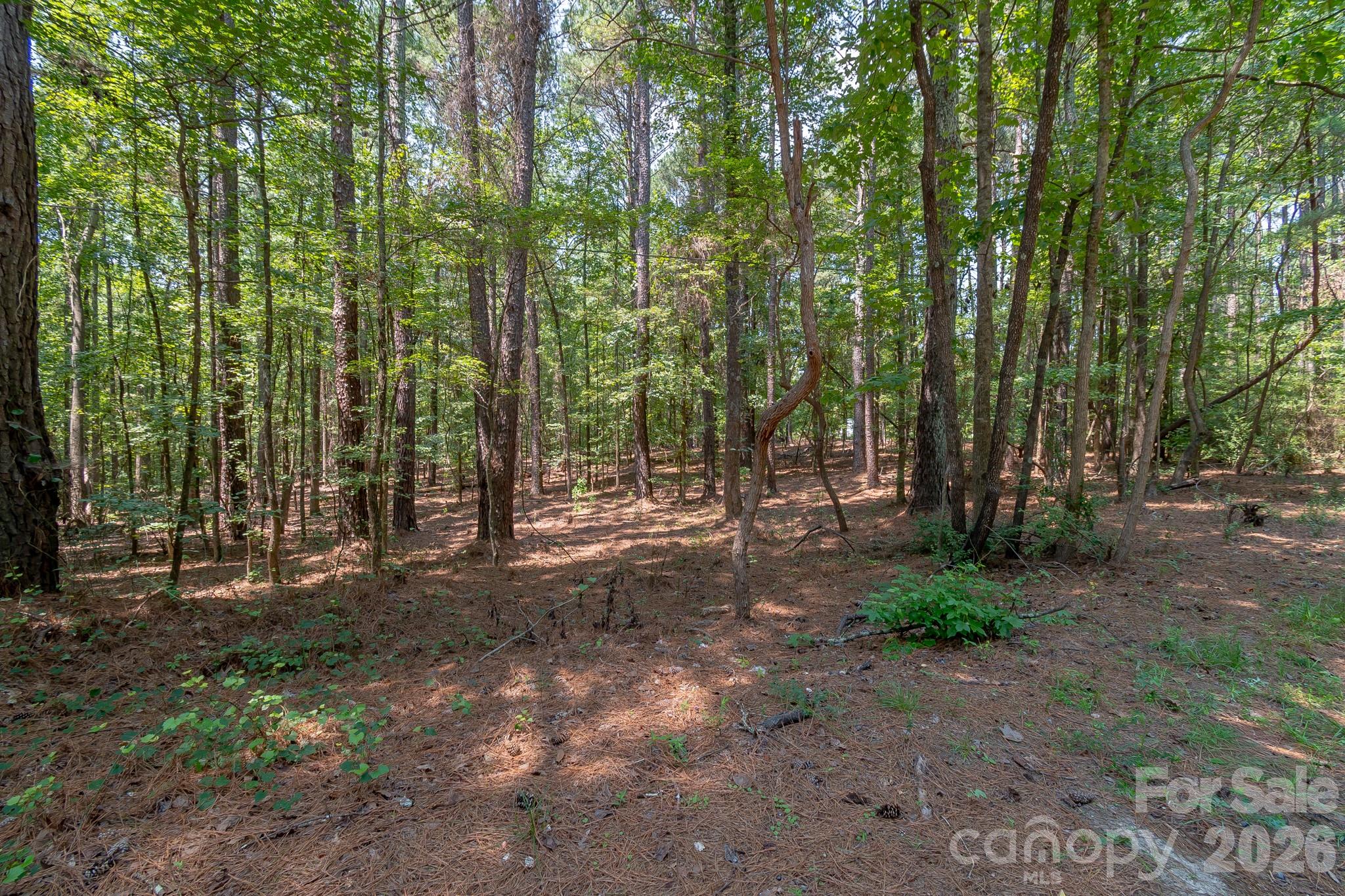 5316 Rehobeth Road Property Photo 17