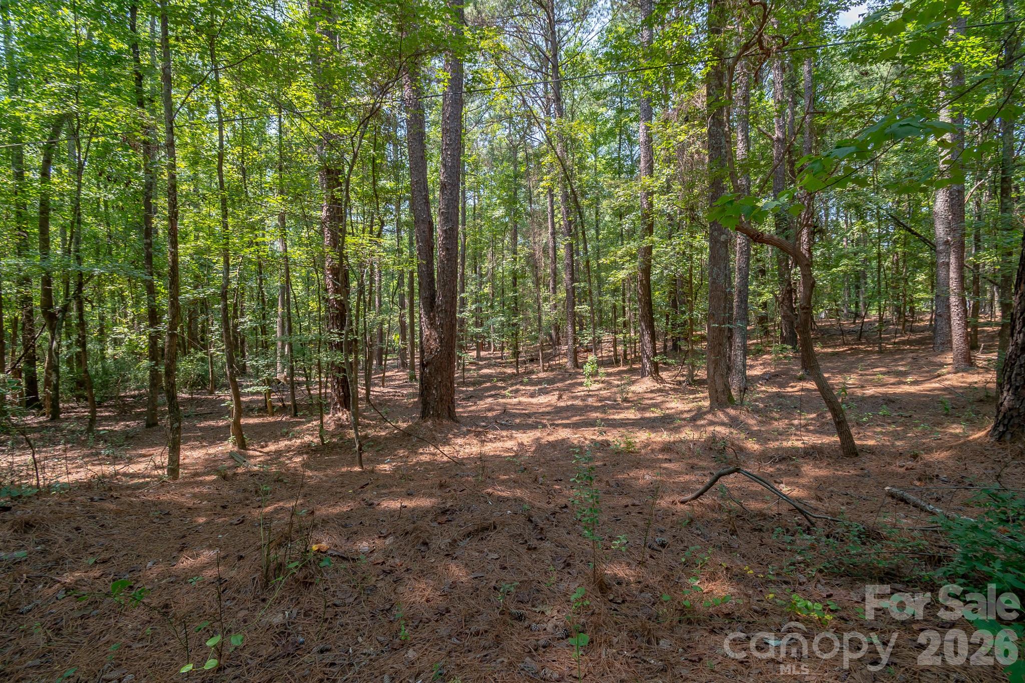 5316 Rehobeth Road Property Photo 18