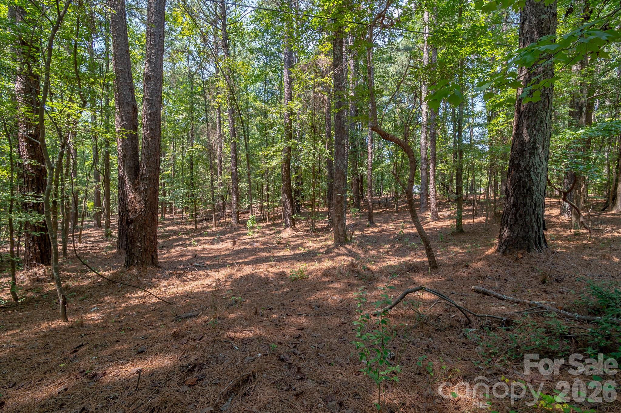 5316 Rehobeth Road Property Photo 19