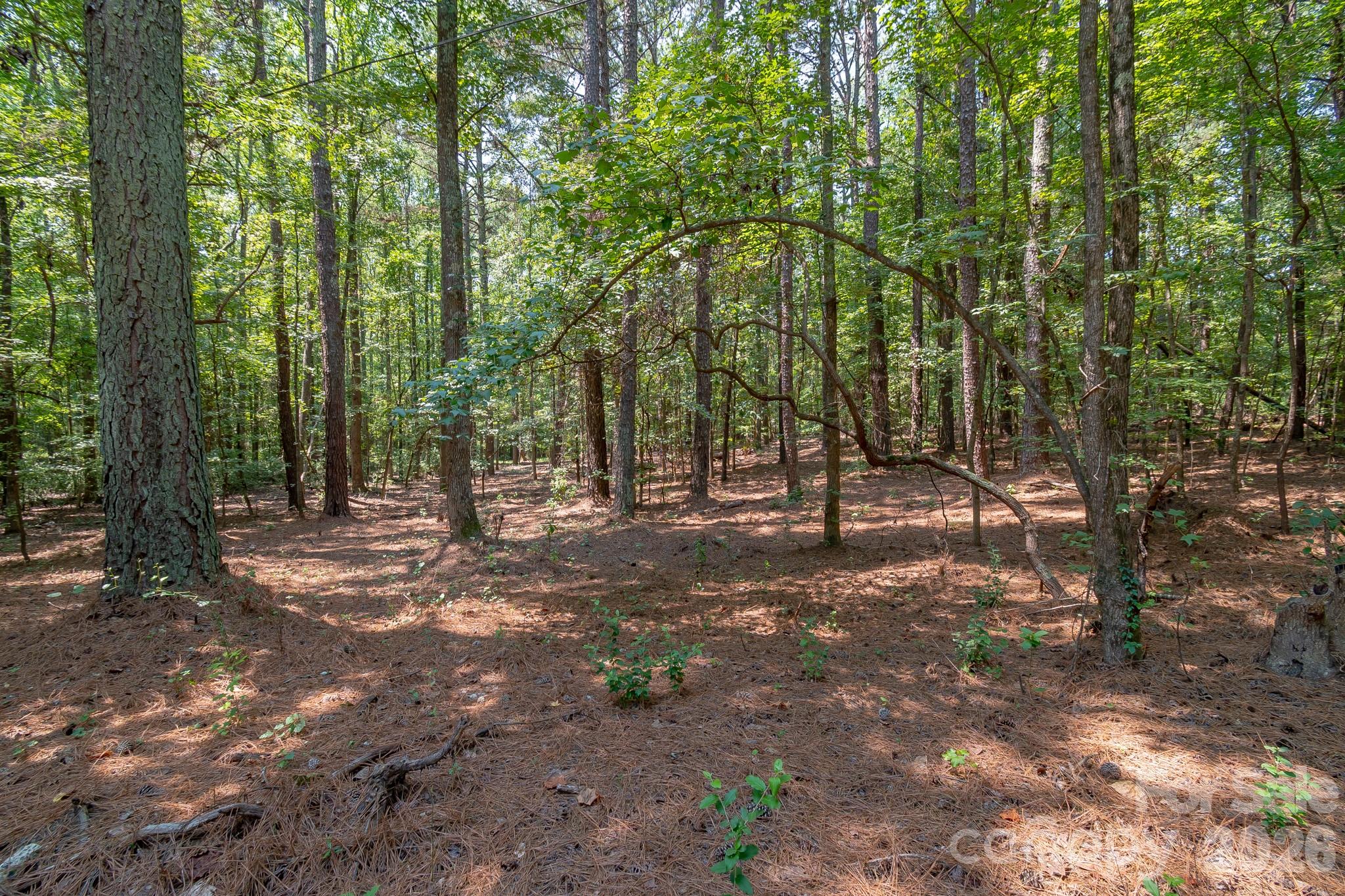 5316 Rehobeth Road Property Photo 20