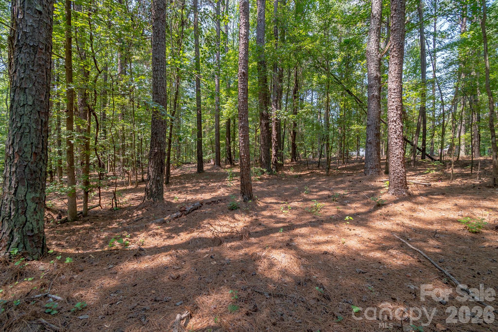 5316 Rehobeth Road Property Photo 21