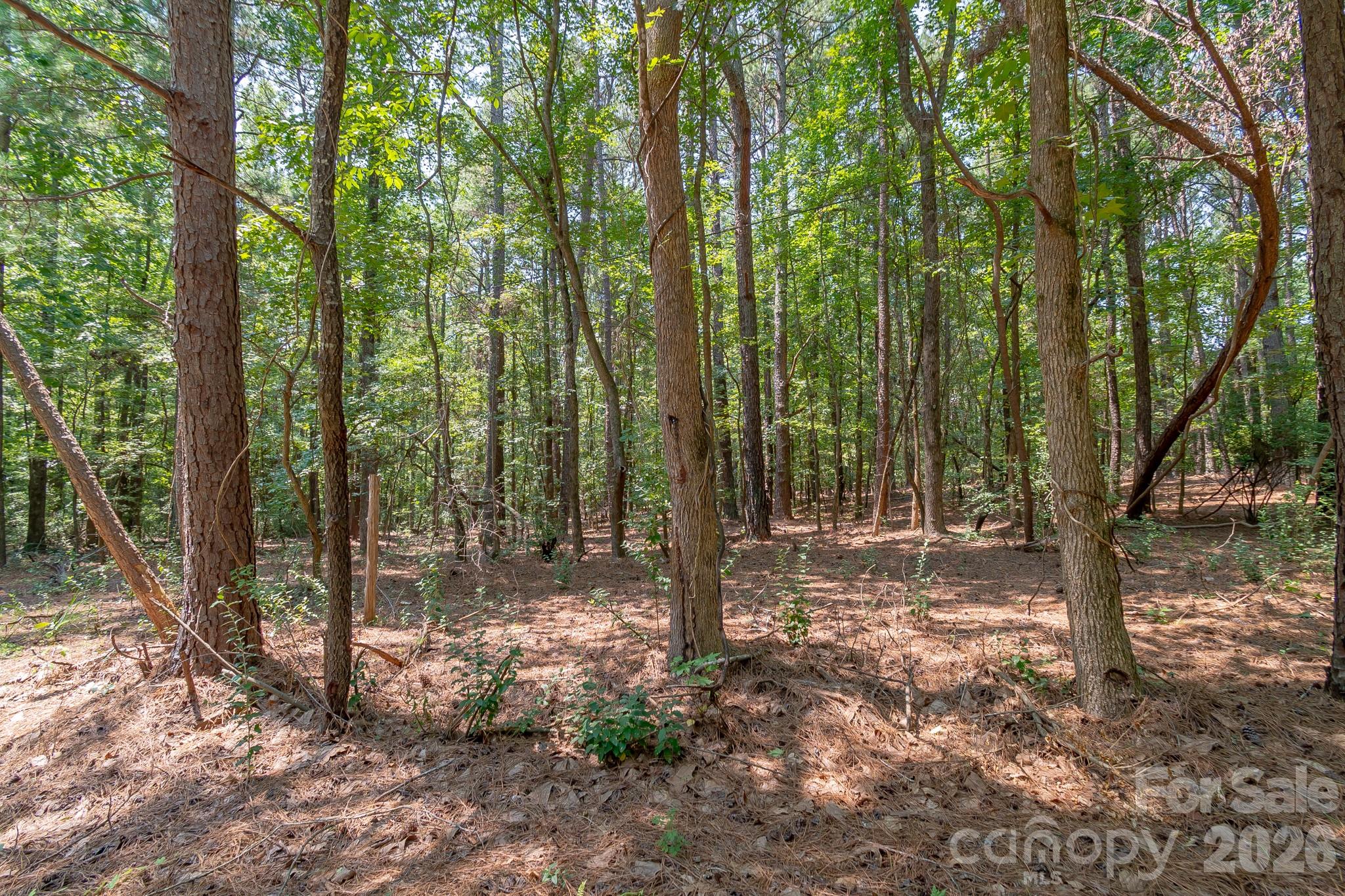 5316 Rehobeth Road Property Photo 22