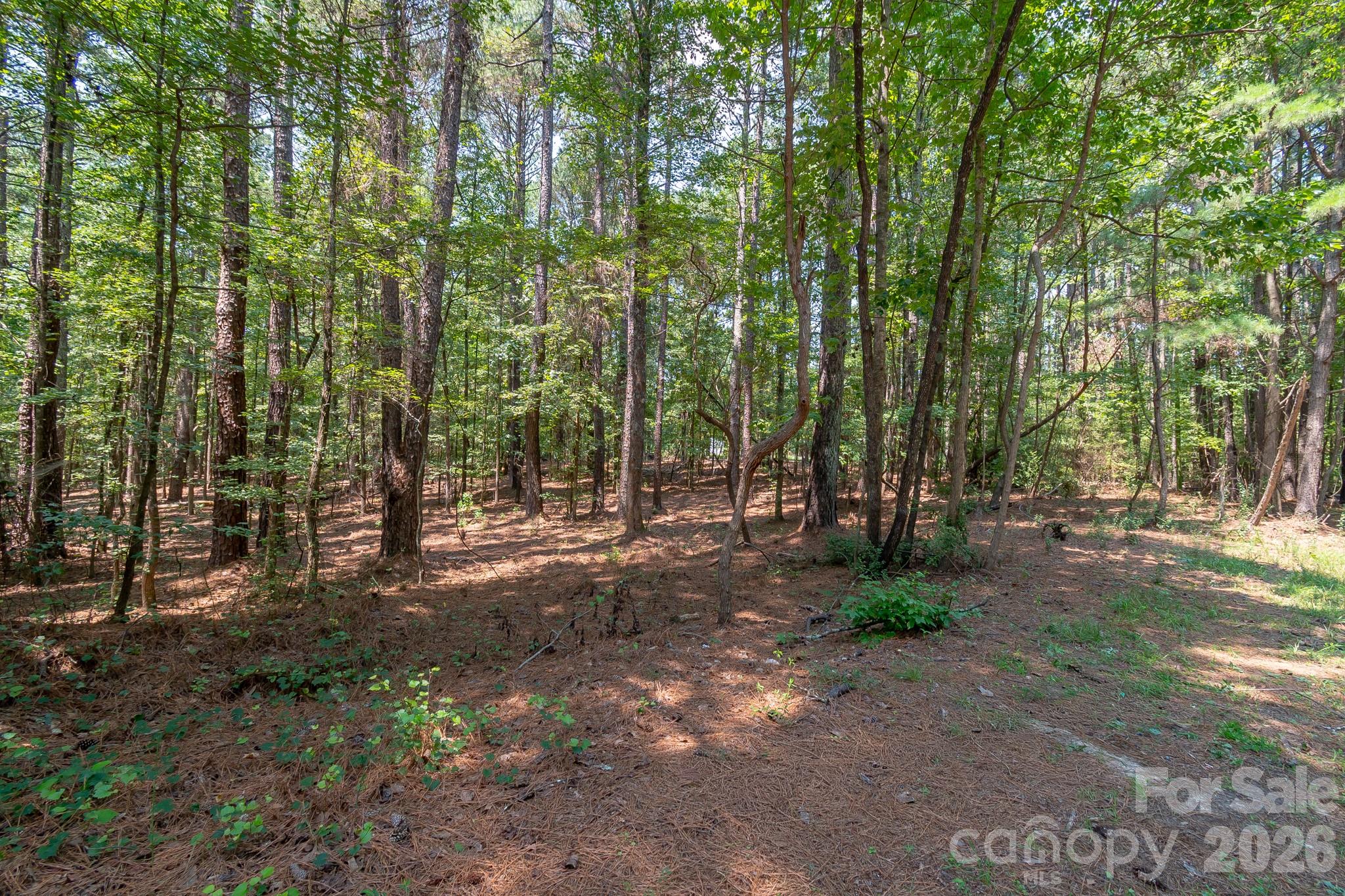 5316 Rehobeth Road Property Photo 23