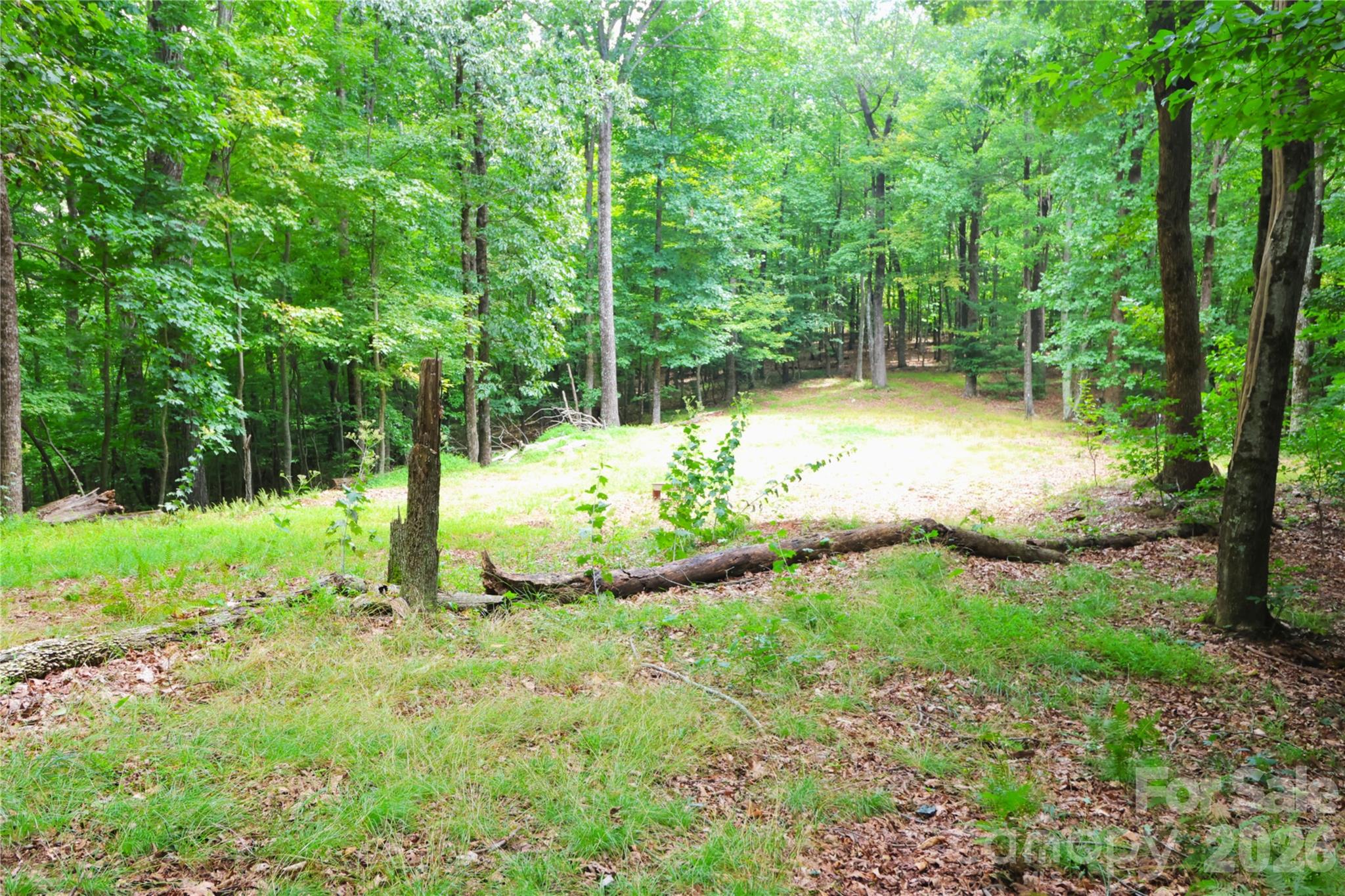 141 Owl Haven Lane Property Photo 39