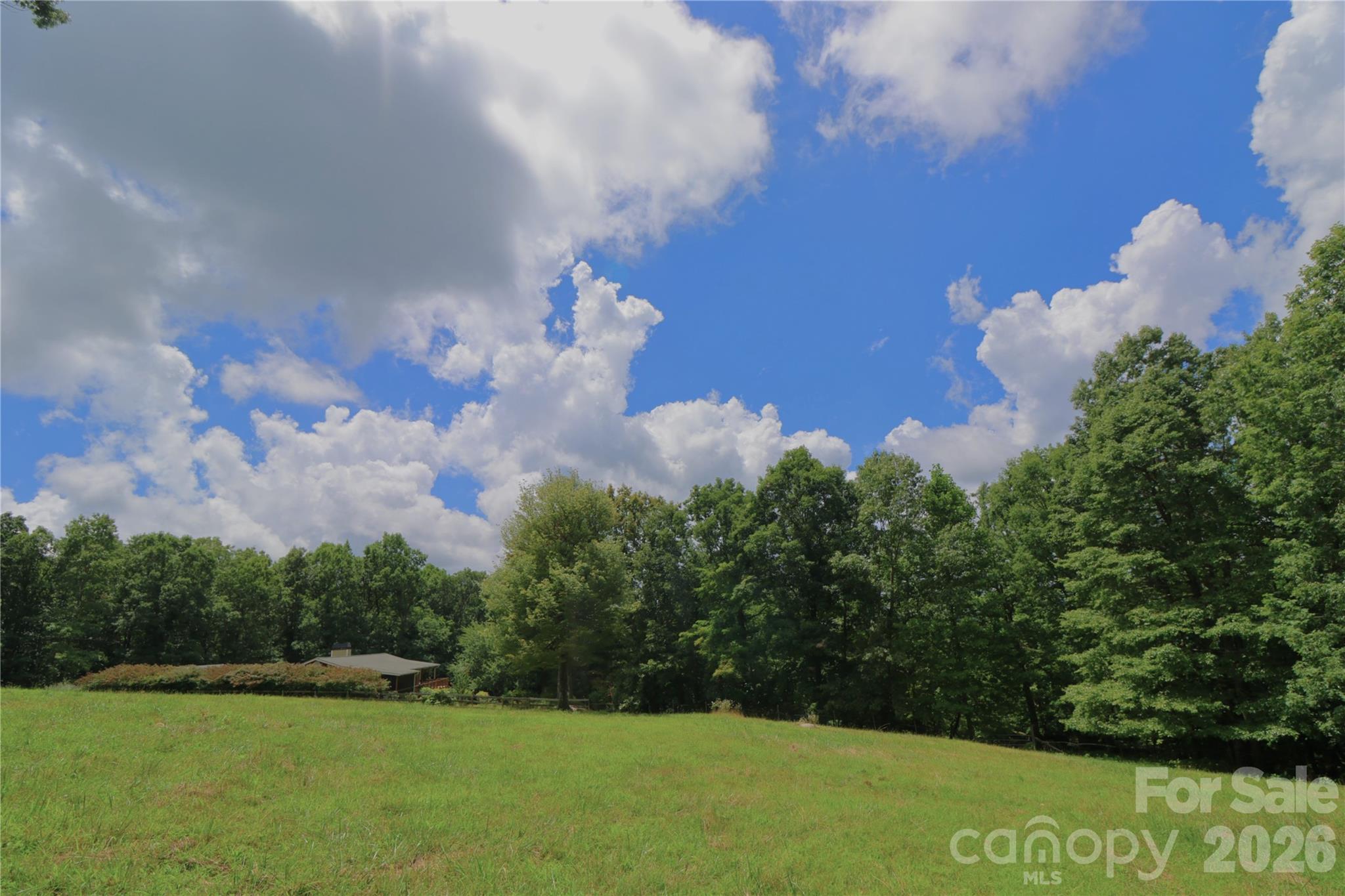 141 Owl Haven Lane Property Photo 41