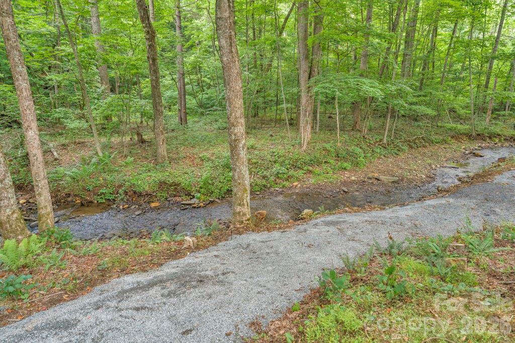 2281 Old Nc Highway 16 Highway Property Photo 39