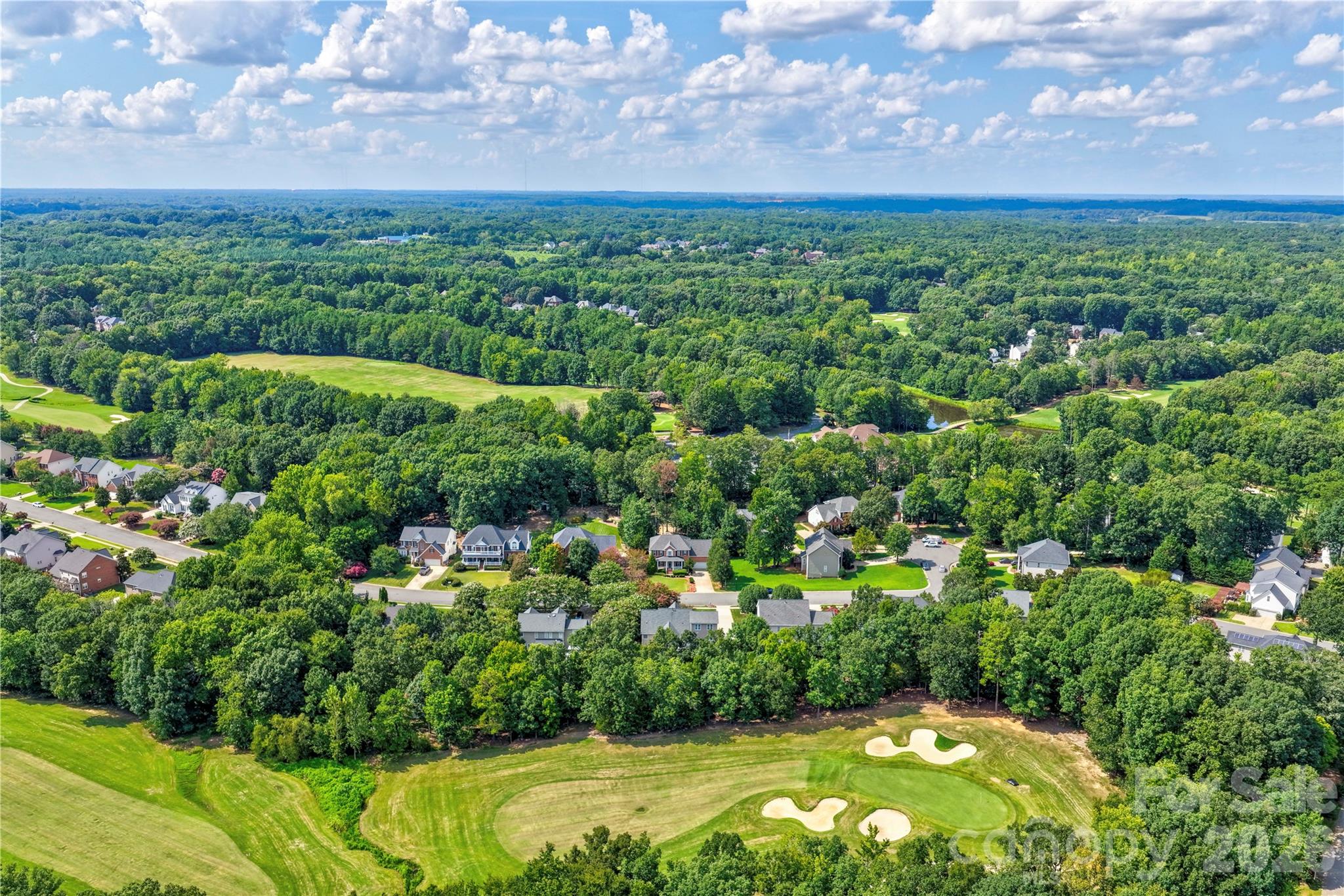 10823 Persimmon Creek Drive Property Photo 45