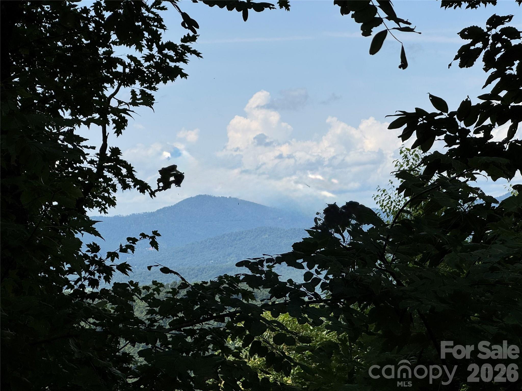 352 High Hickory Trail 20 Property Photo 1