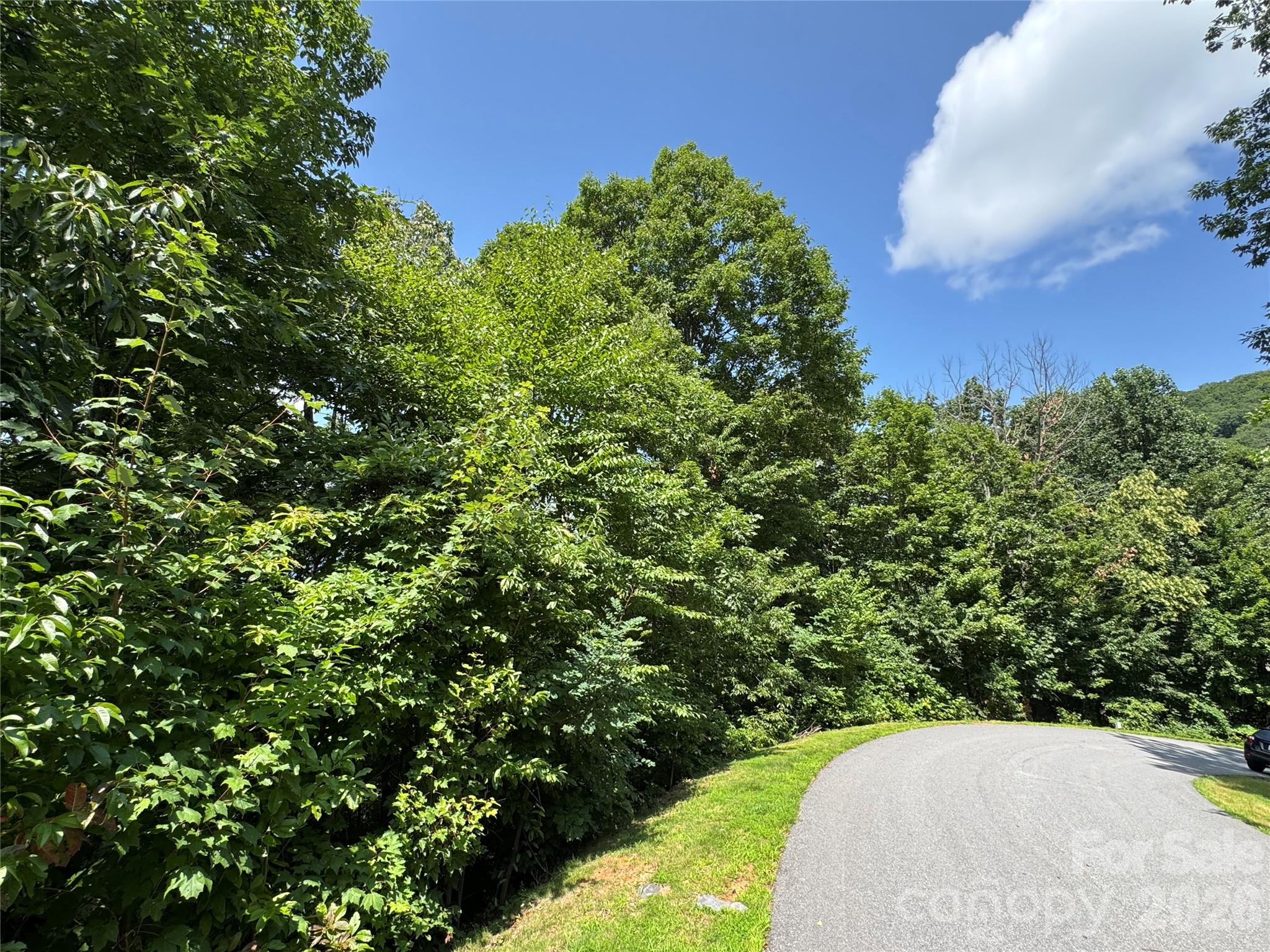 352 High Hickory Trail 20 Property Photo 2