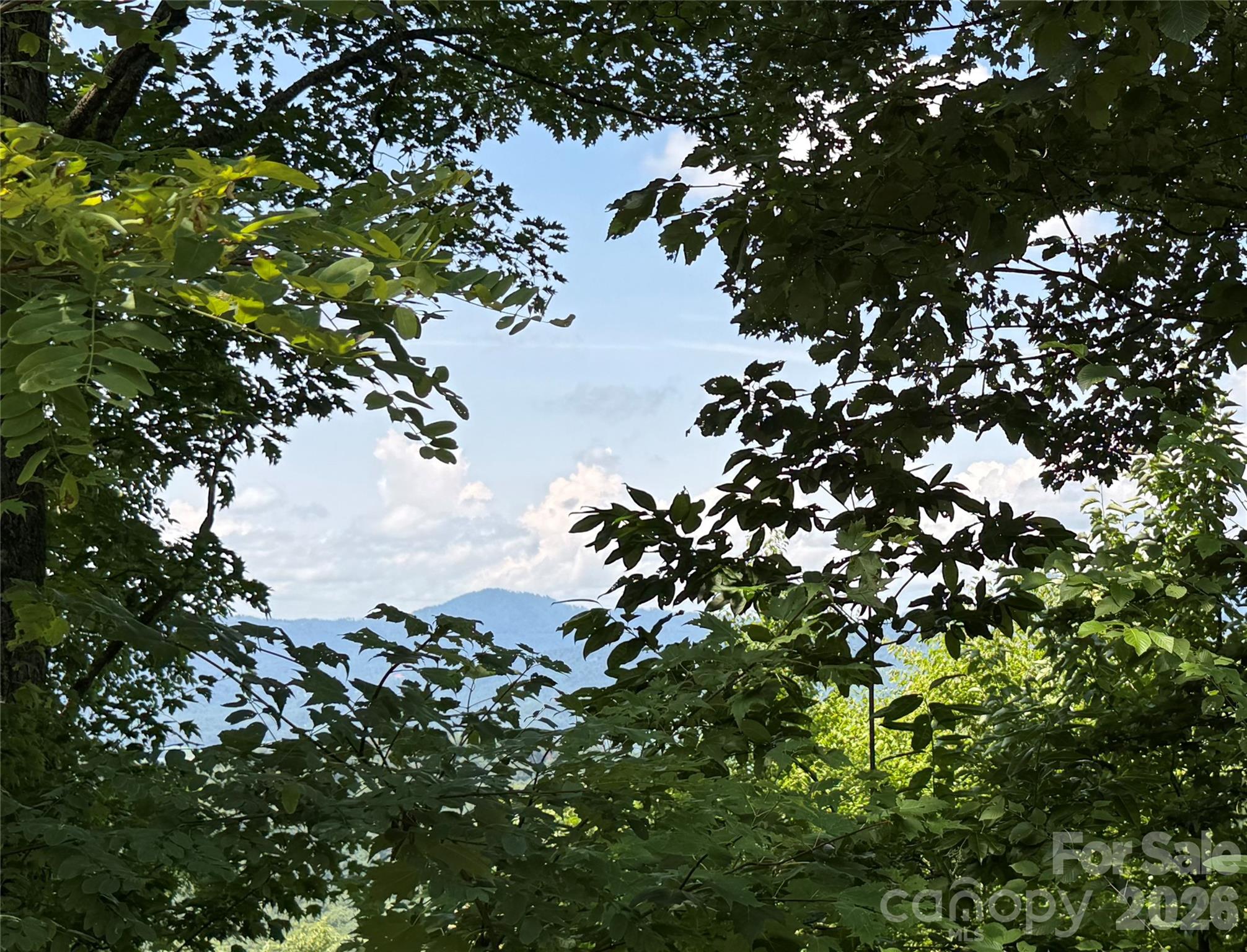 352 High Hickory Trail 20 Property Photo 8