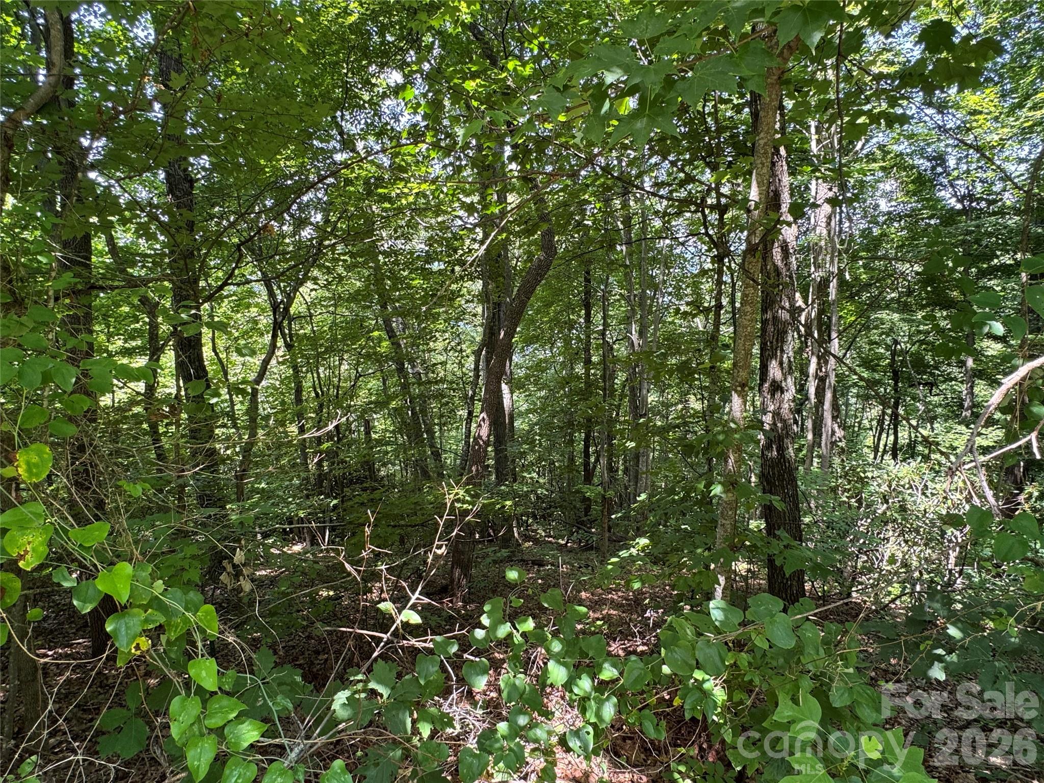 352 High Hickory Trail 20 Property Photo 10