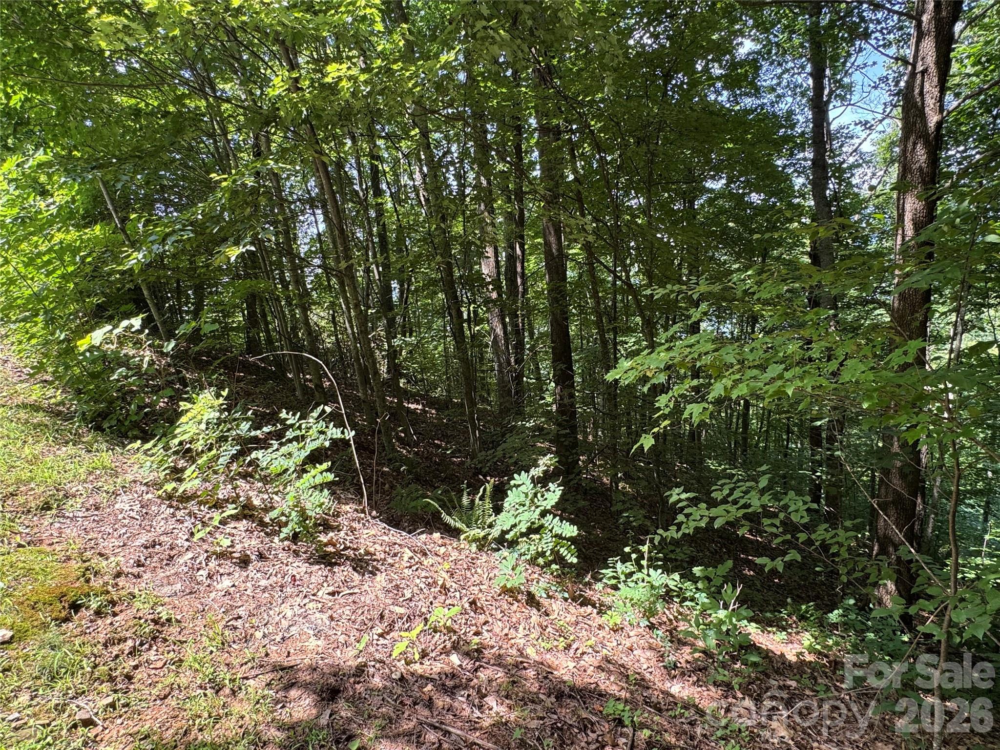 352 High Hickory Trail 20 Property Photo 11