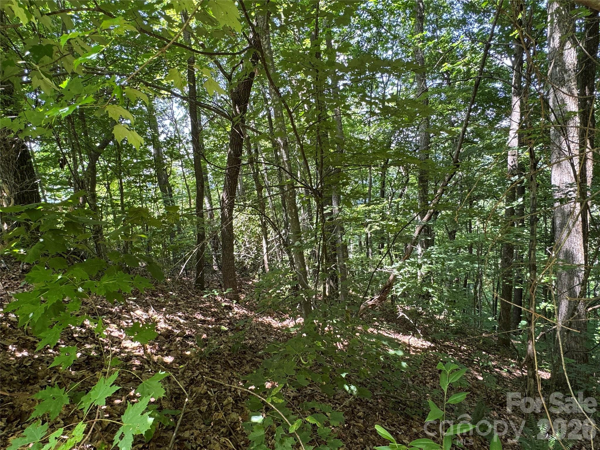 352 High Hickory Trail 20 Property Photo 12