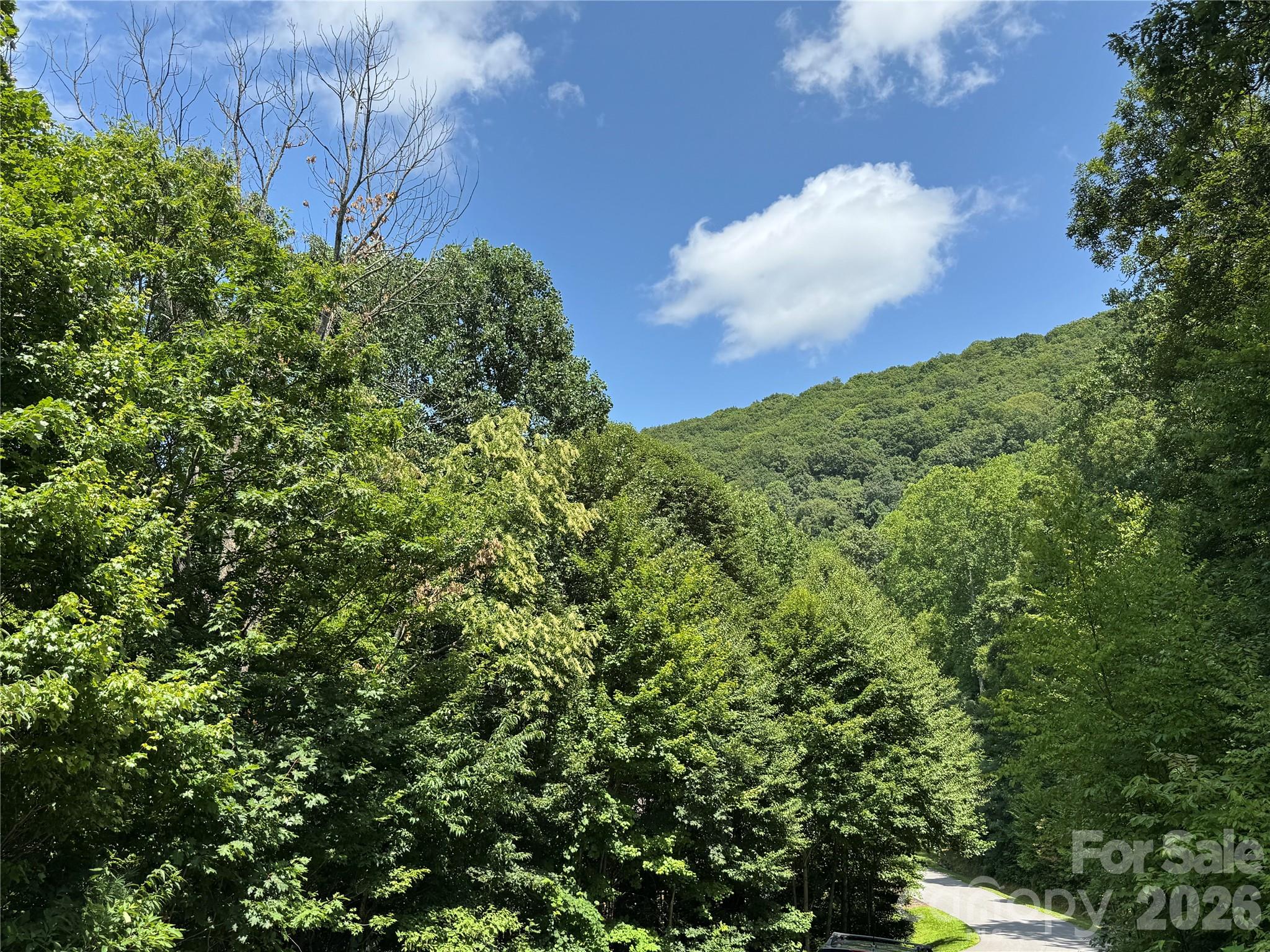 352 High Hickory Trail 20 Property Photo 15
