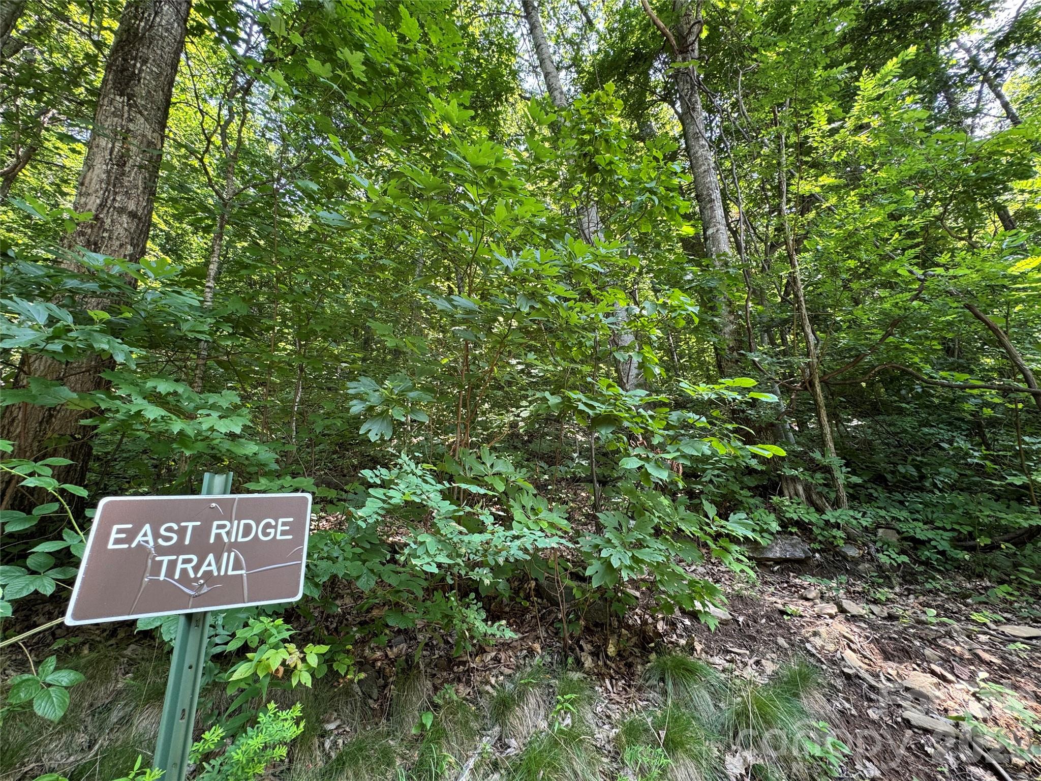 352 High Hickory Trail 20 Property Photo 20
